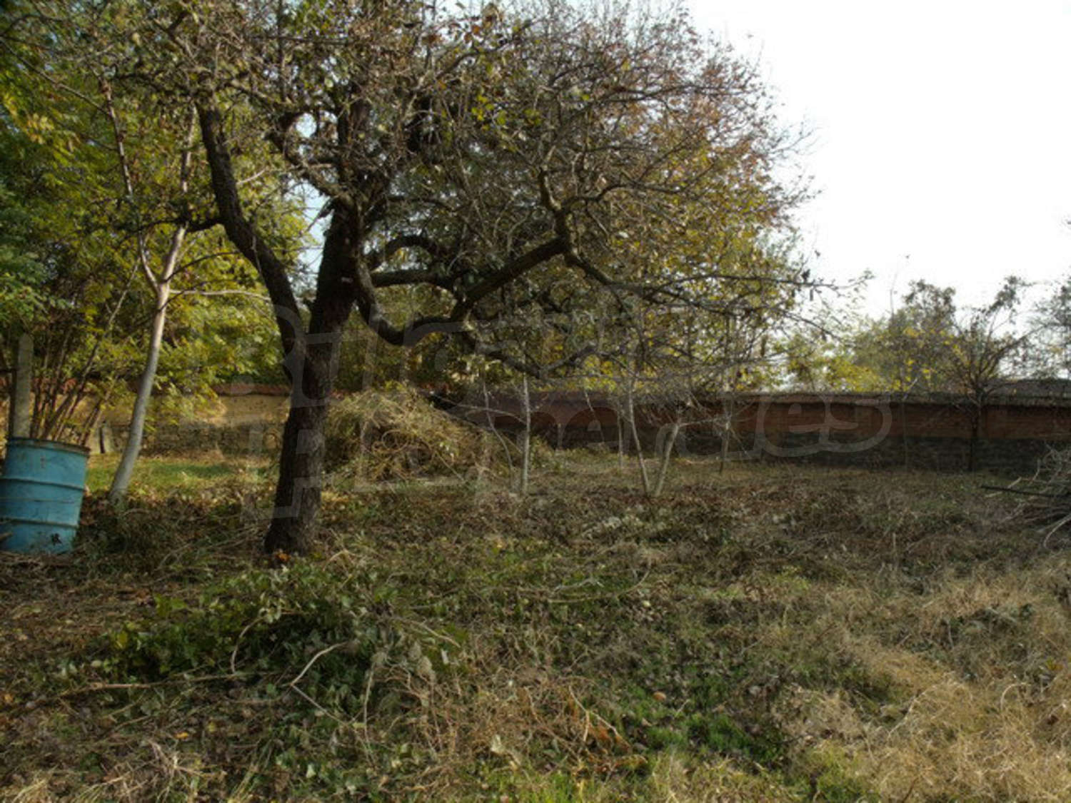 Gallery Picture 38