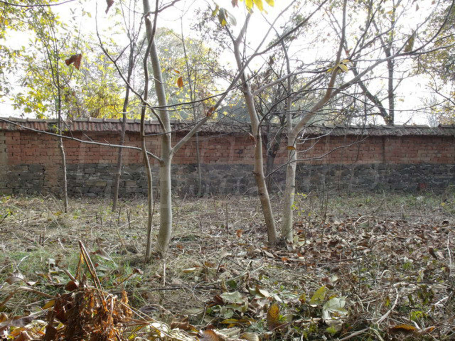 Gallery Picture 41