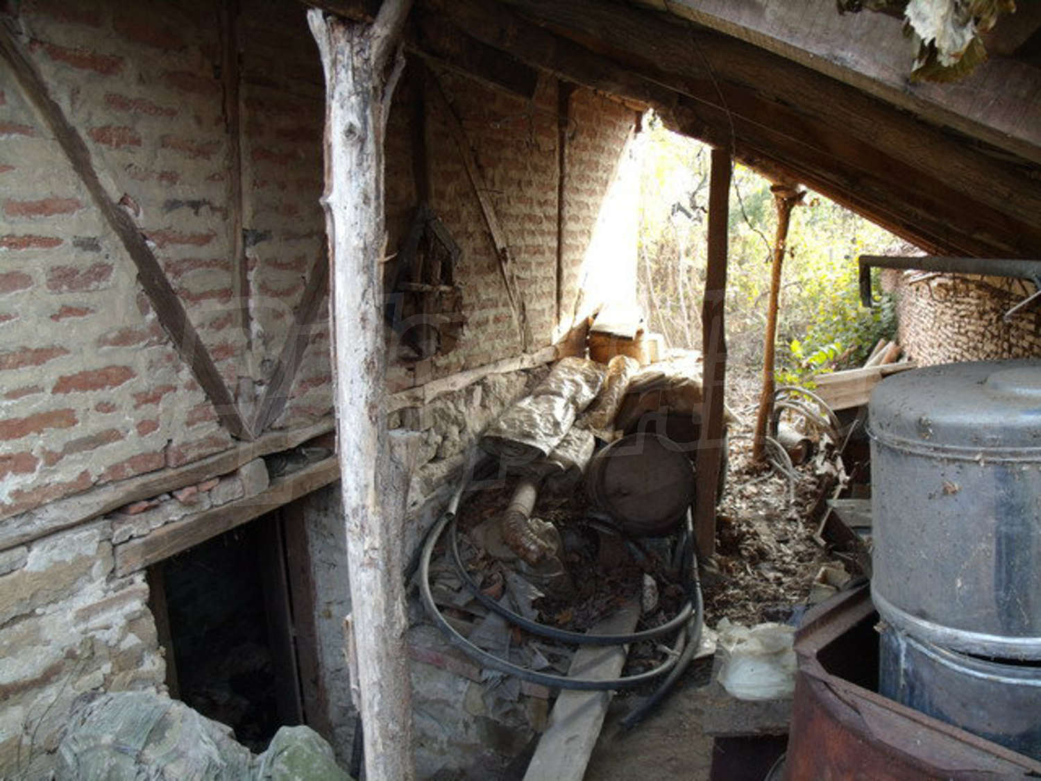 Gallery Picture 44