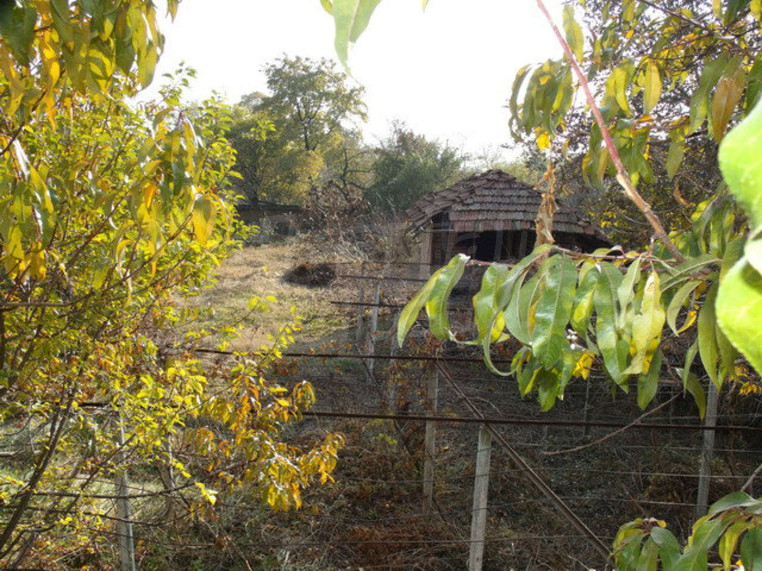 Gallery Picture 47