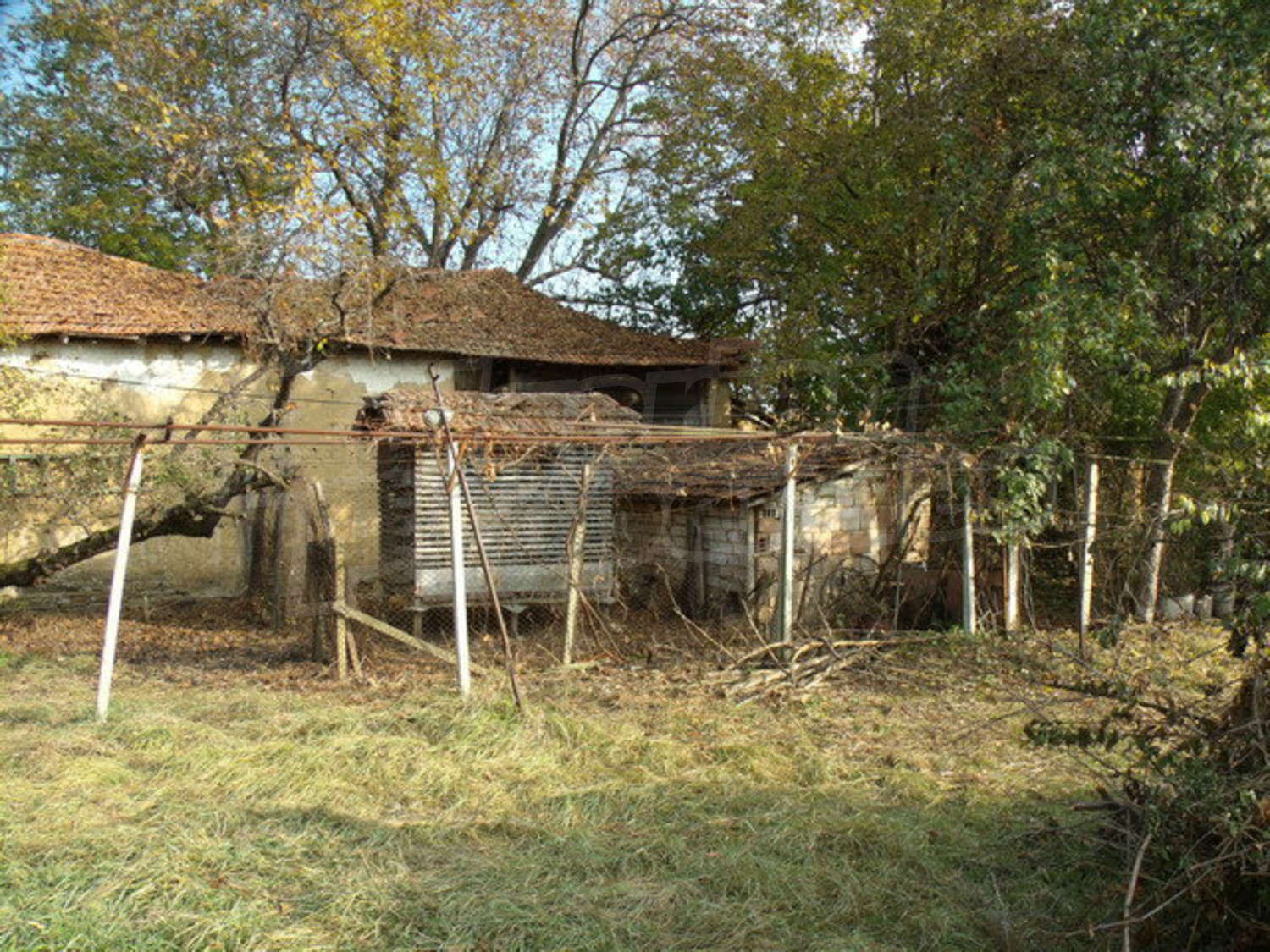 Gallery Picture 52