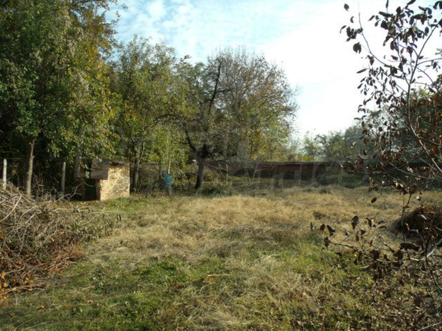 Gallery Picture 53