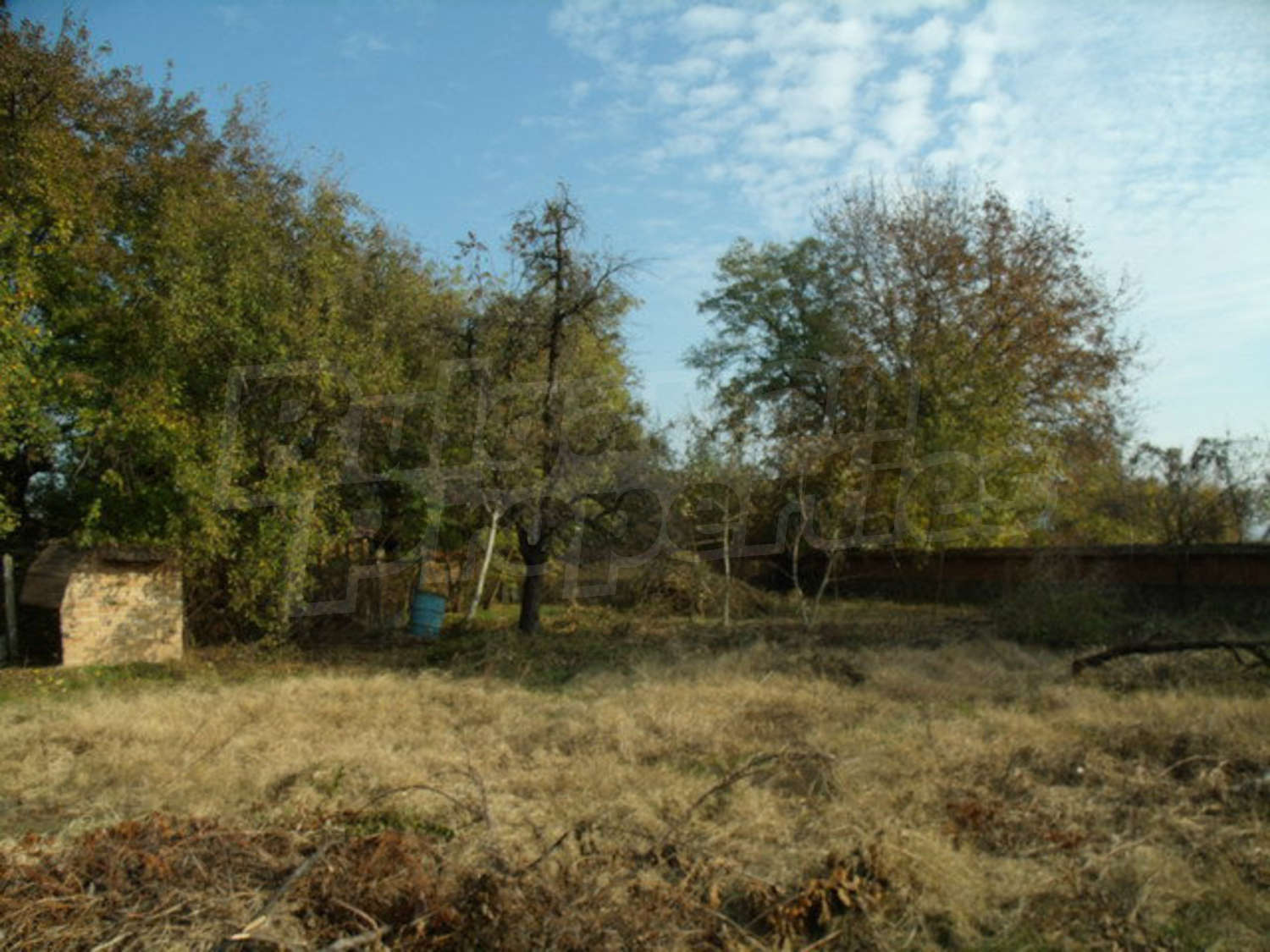 Gallery Picture 54