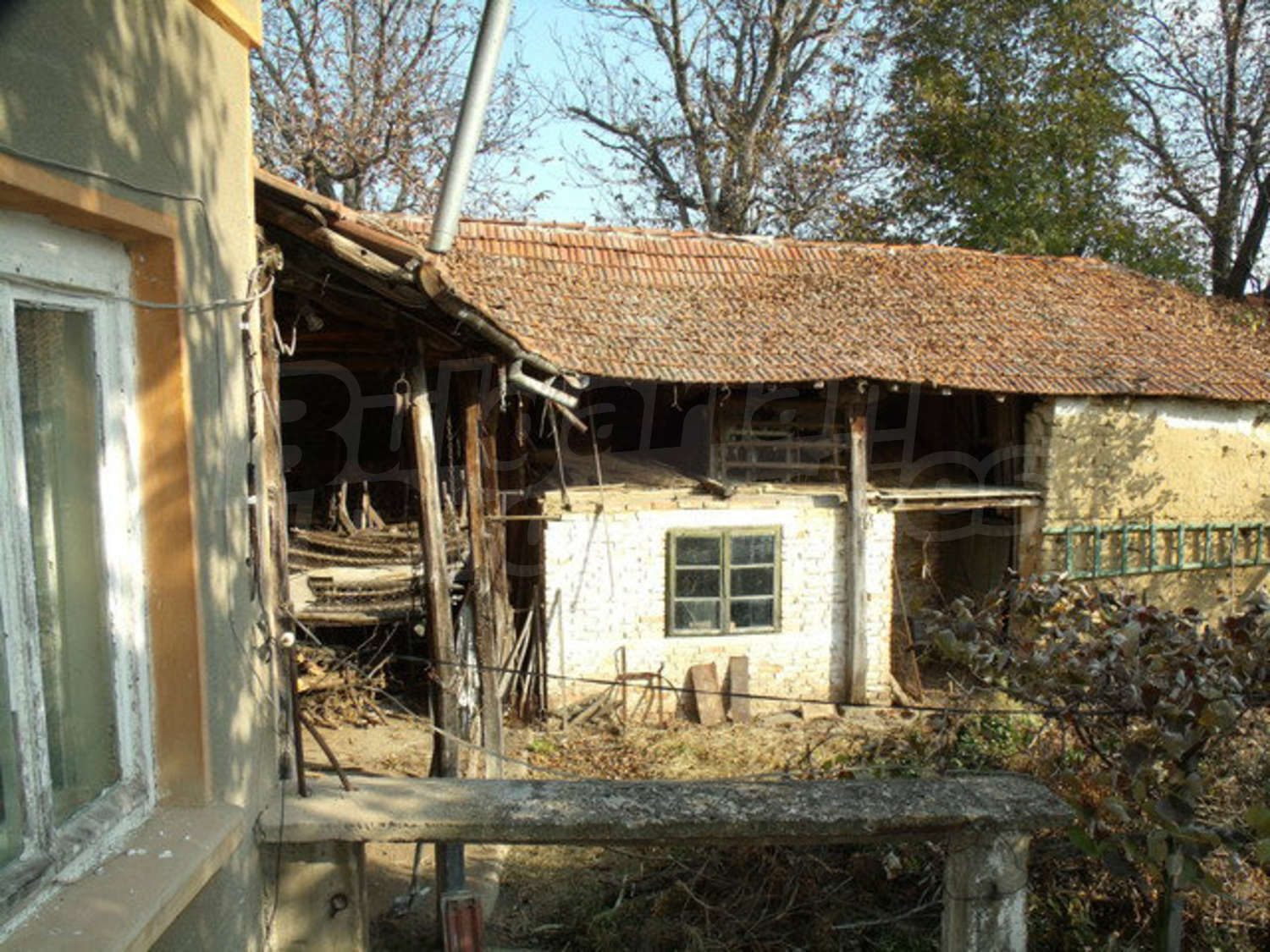 Gallery Picture 6
