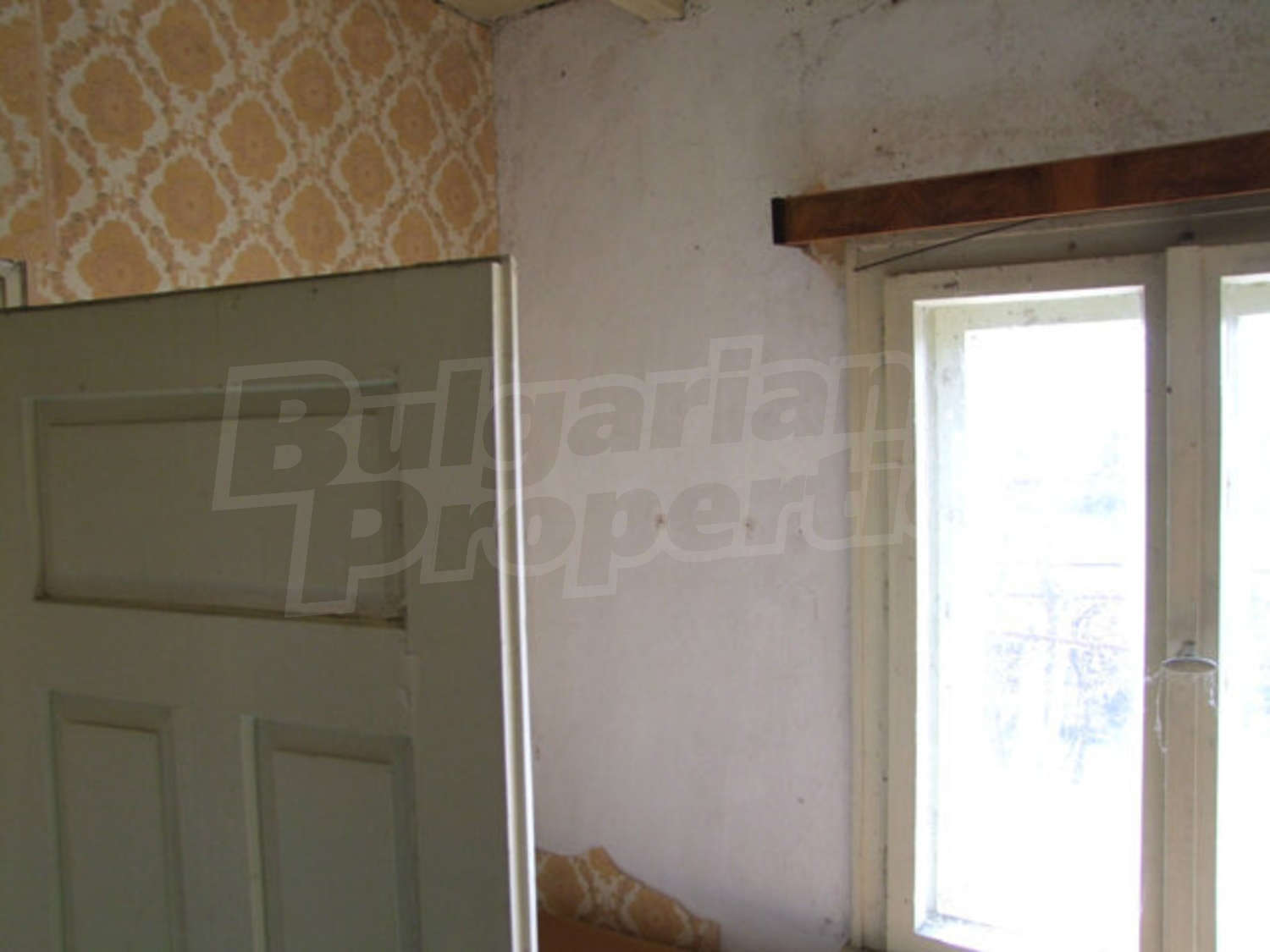 Gallery Picture 63