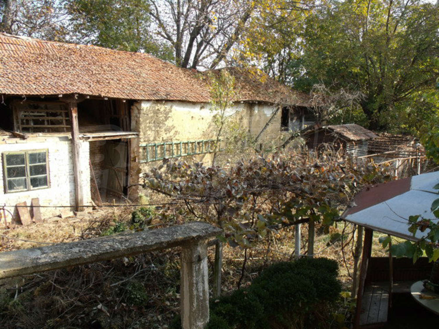 Gallery Picture 7