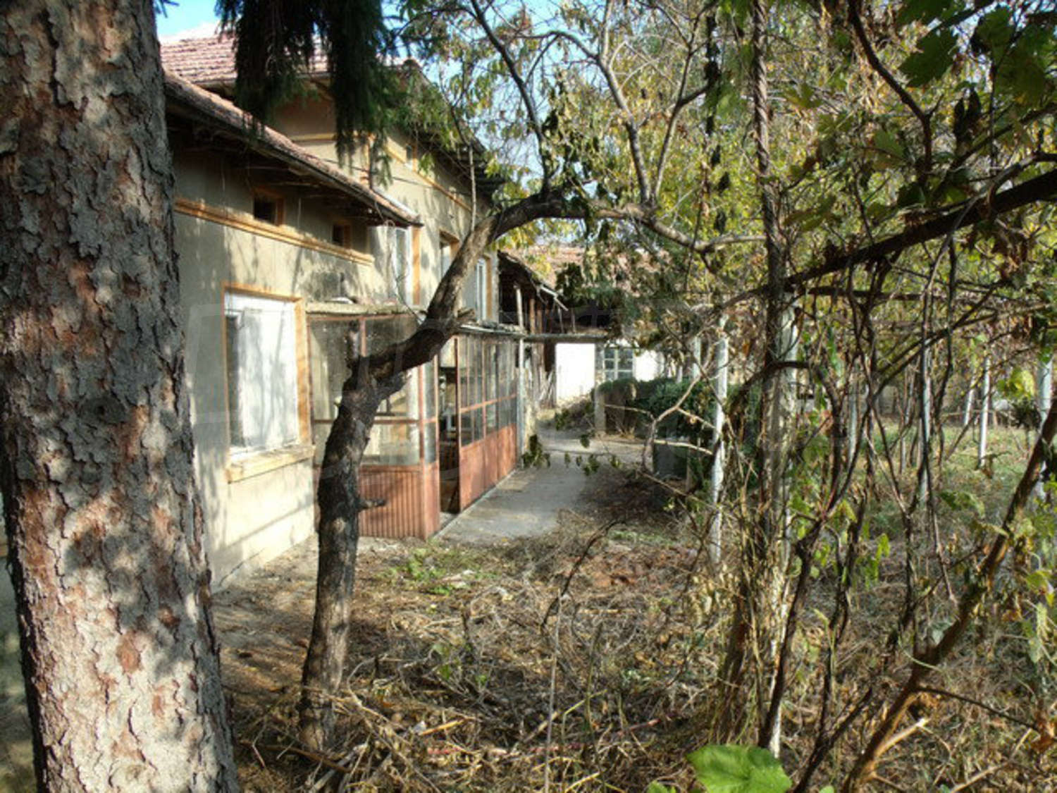 Gallery Picture 9