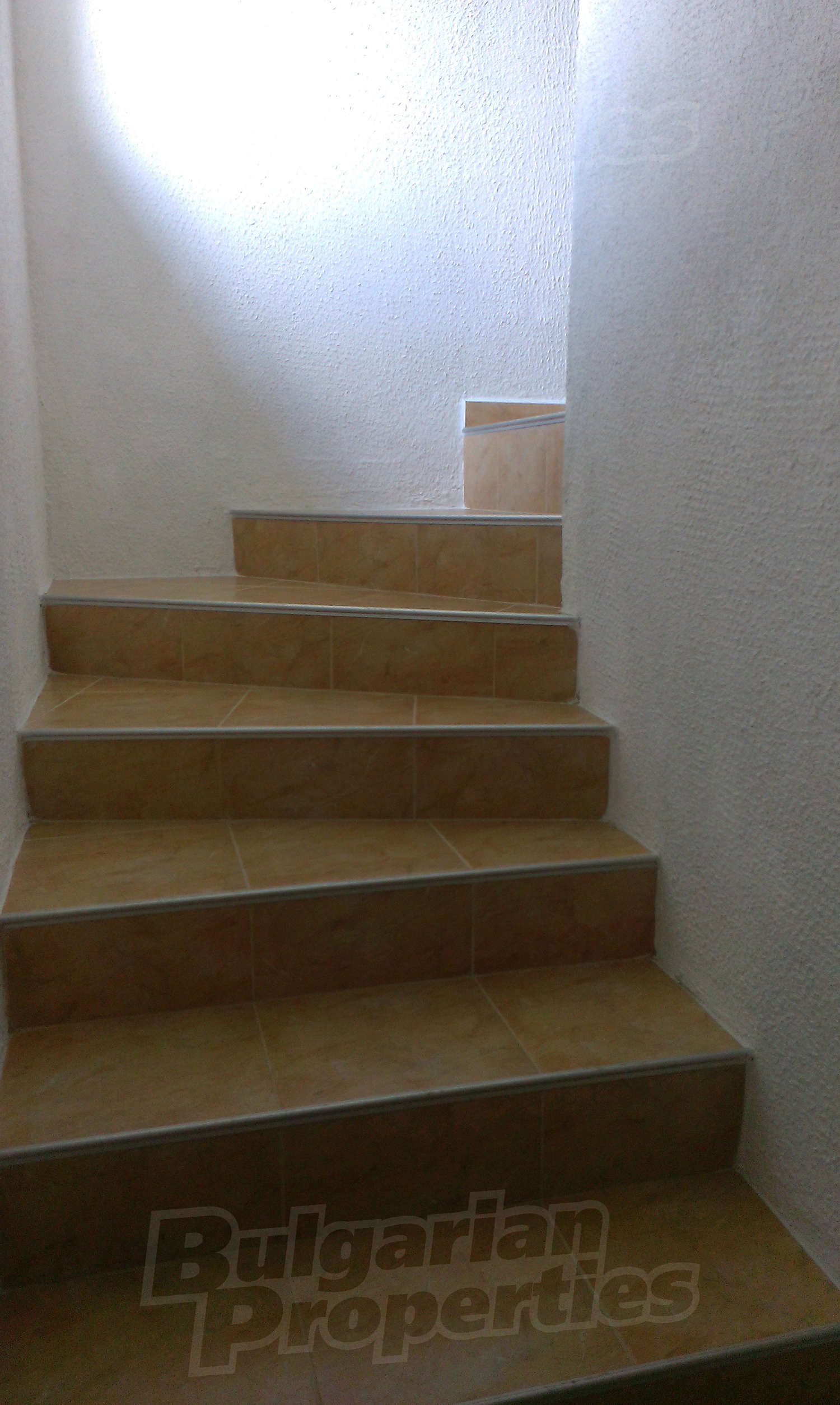 Gallery Picture 12