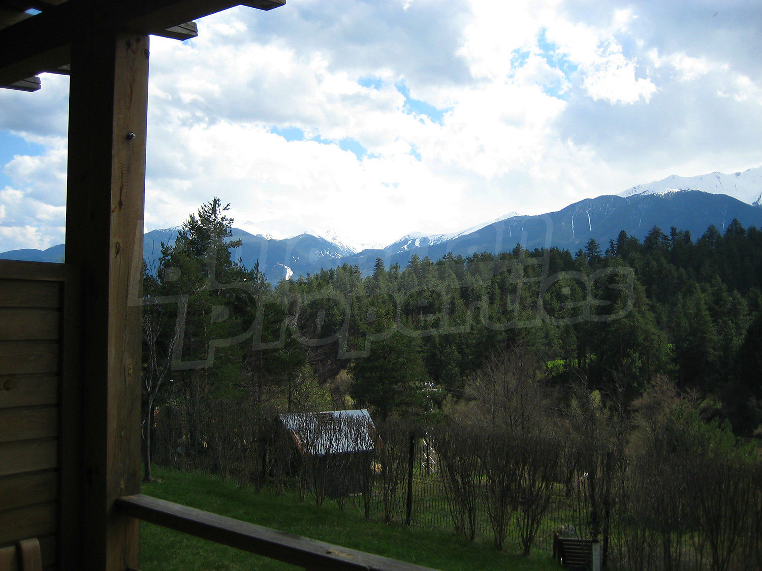 Gallery Picture 7
