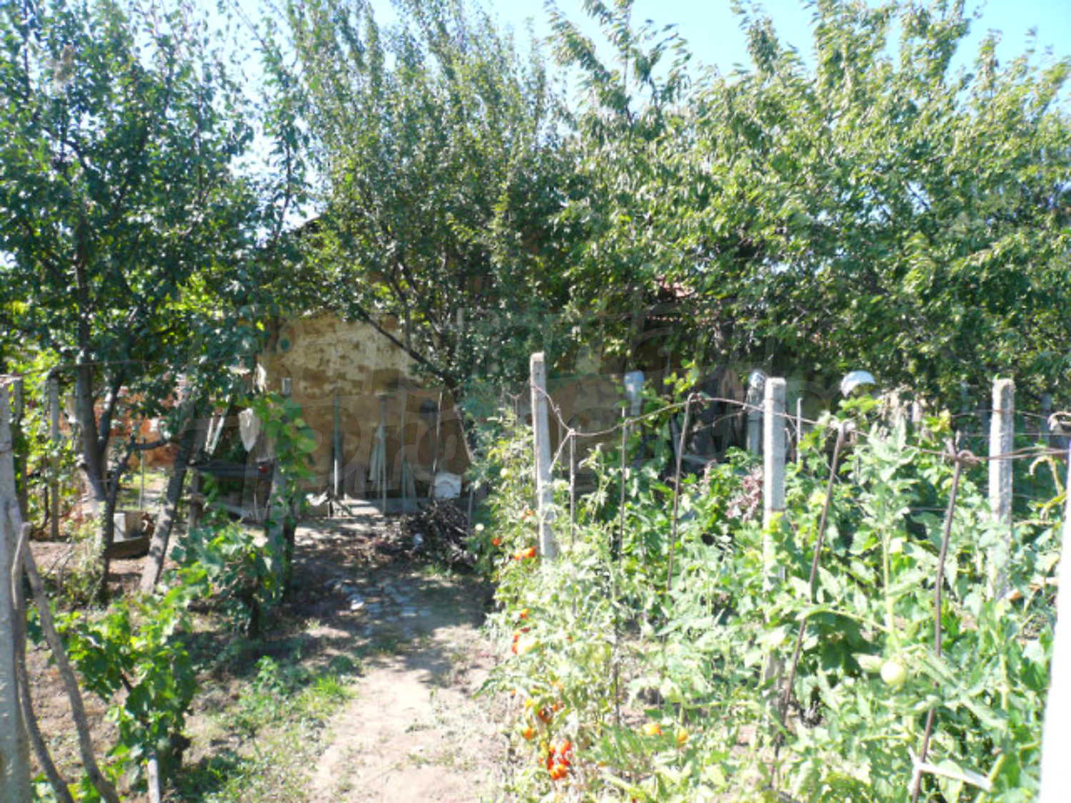Gallery Picture 6