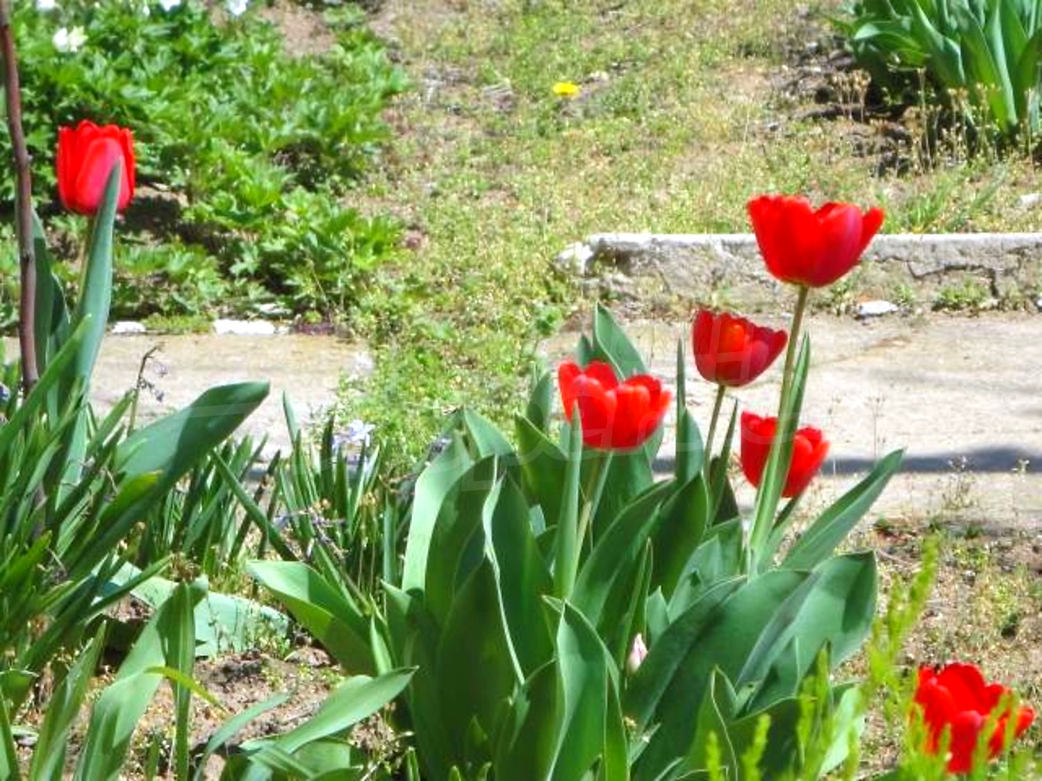 Gallery Picture 27