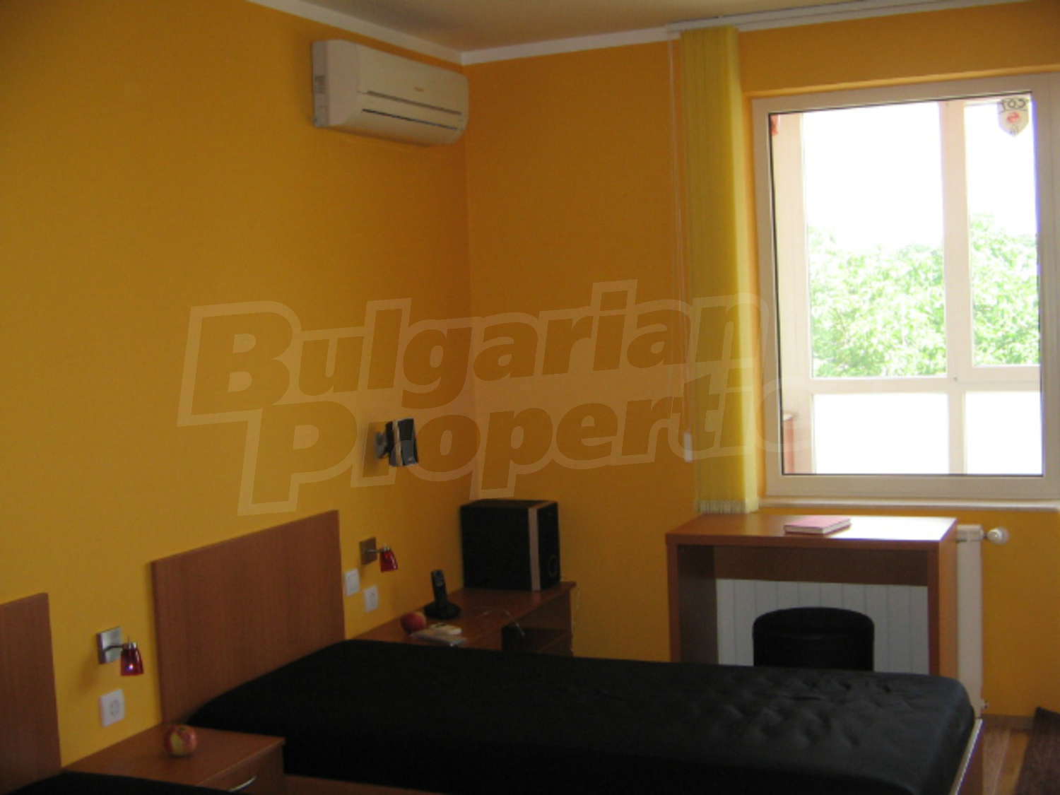 Gallery Picture 17