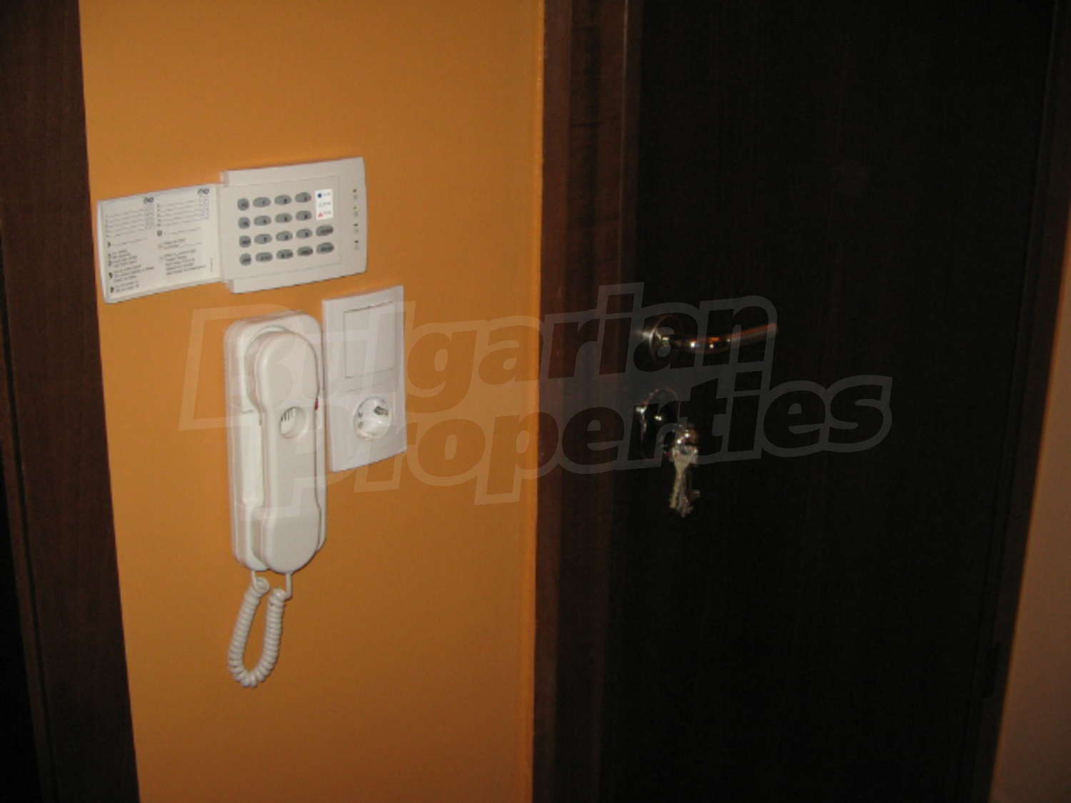 Gallery Picture 24