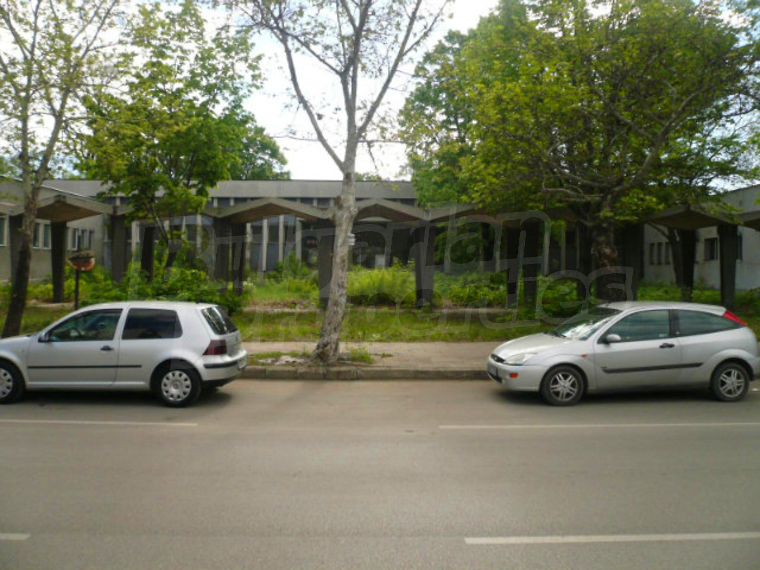 Gallery Picture 6