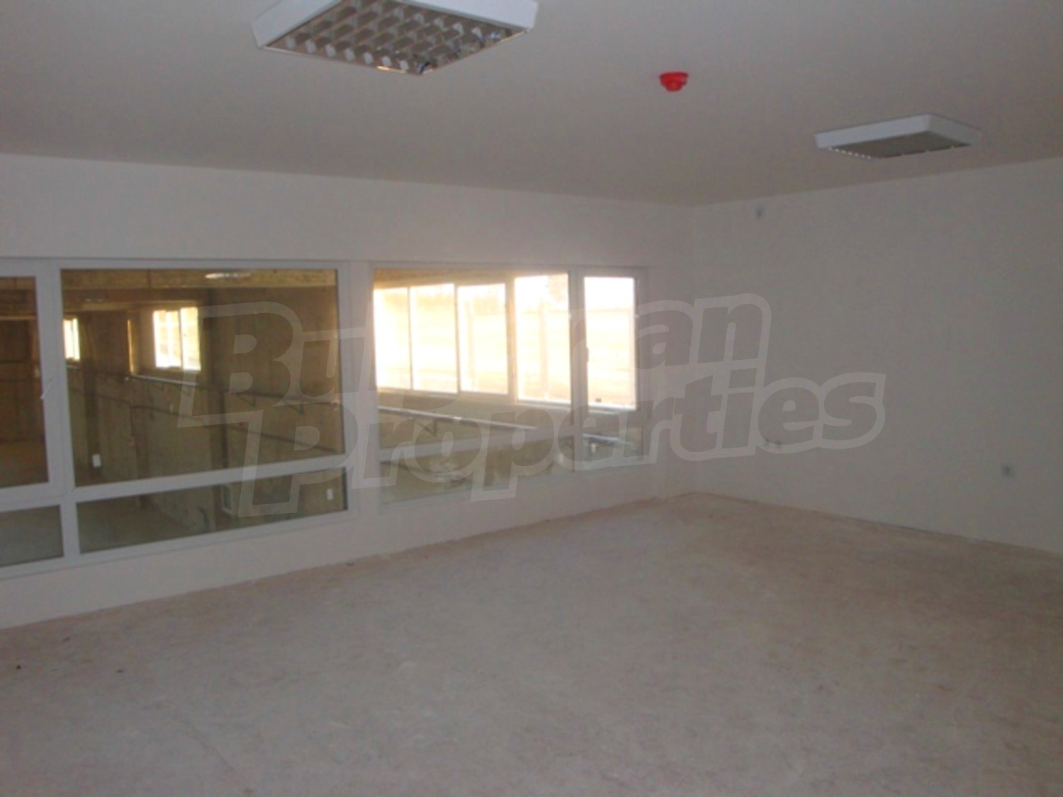 Gallery Picture 11