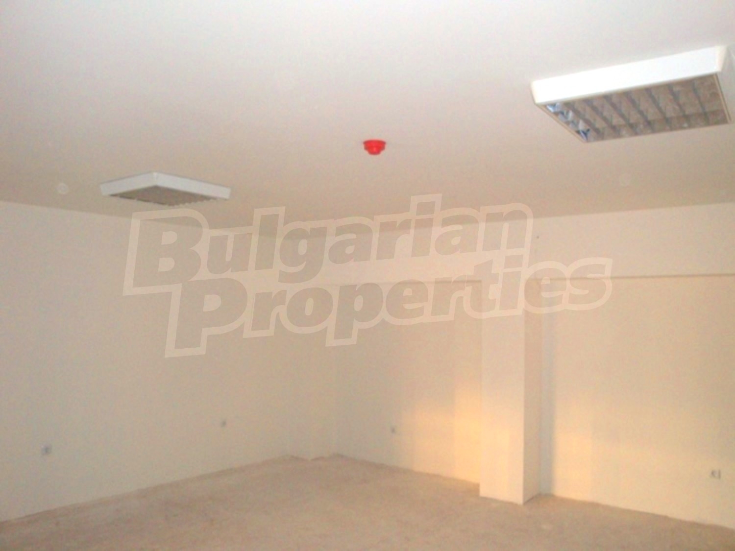 Gallery Picture 12