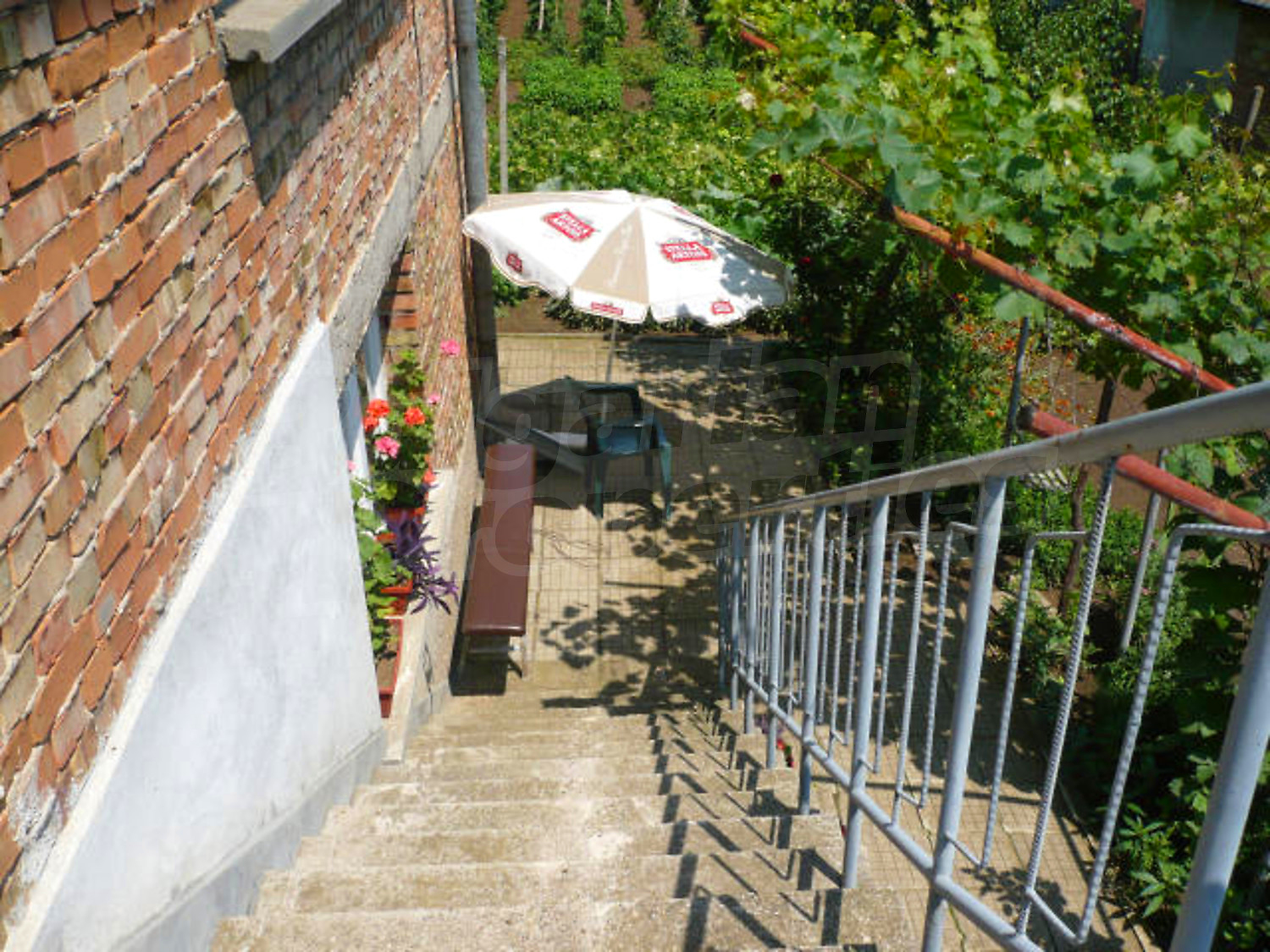 Gallery Picture 14