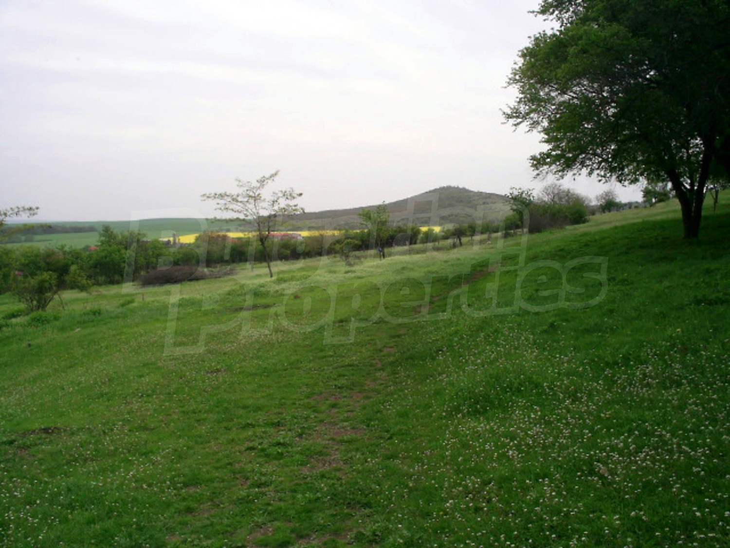 Gallery Picture 11