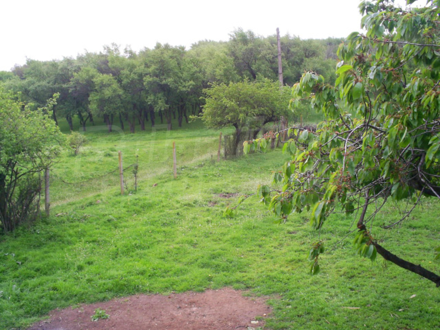 Gallery Picture 12