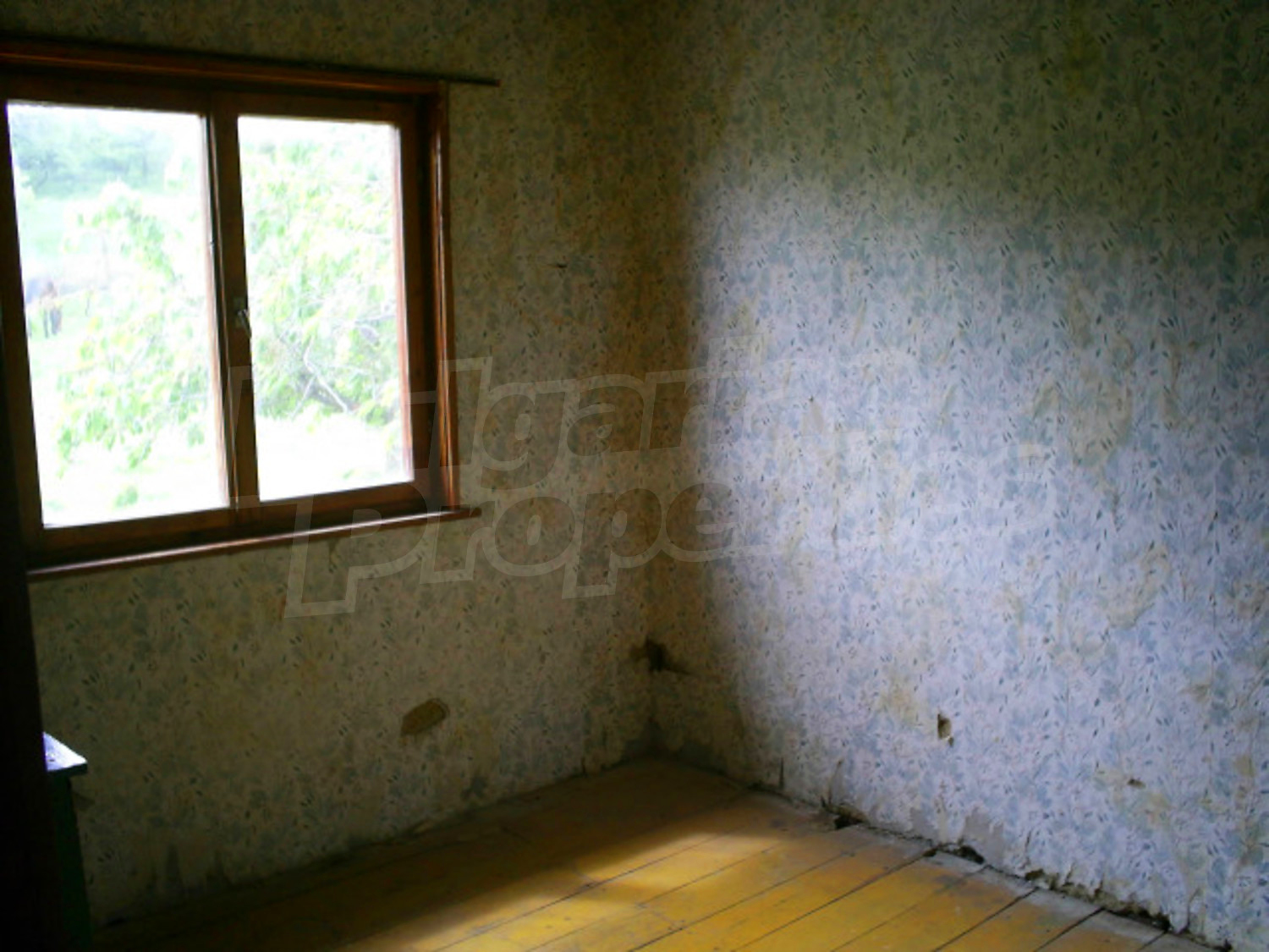 Gallery Picture 3