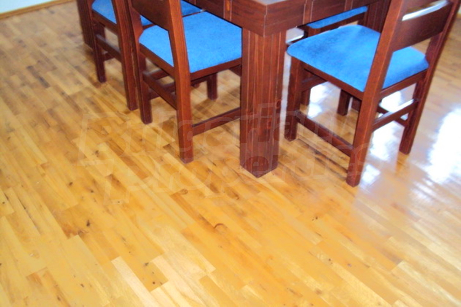 Gallery Picture 12