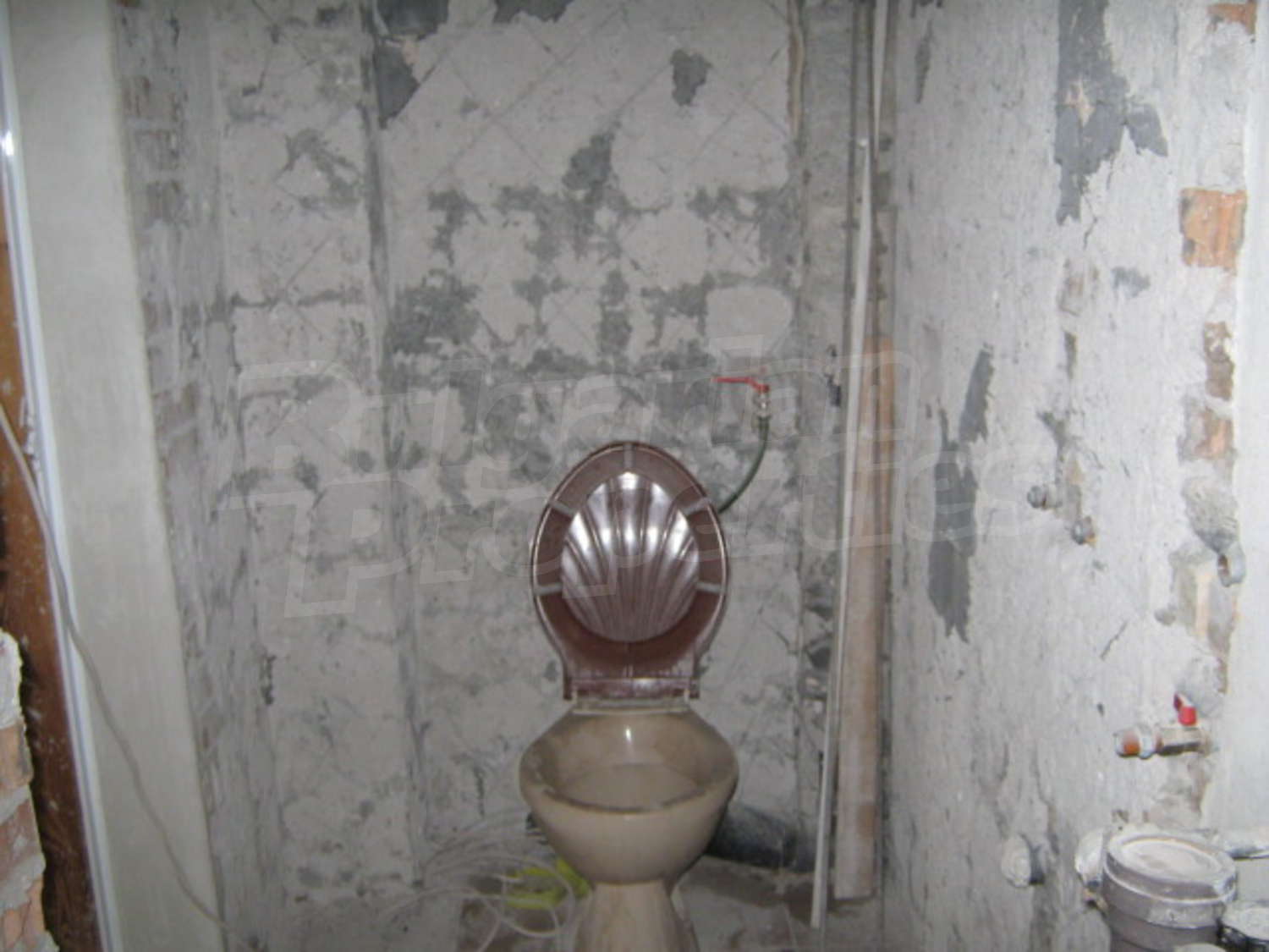 Gallery Picture 8