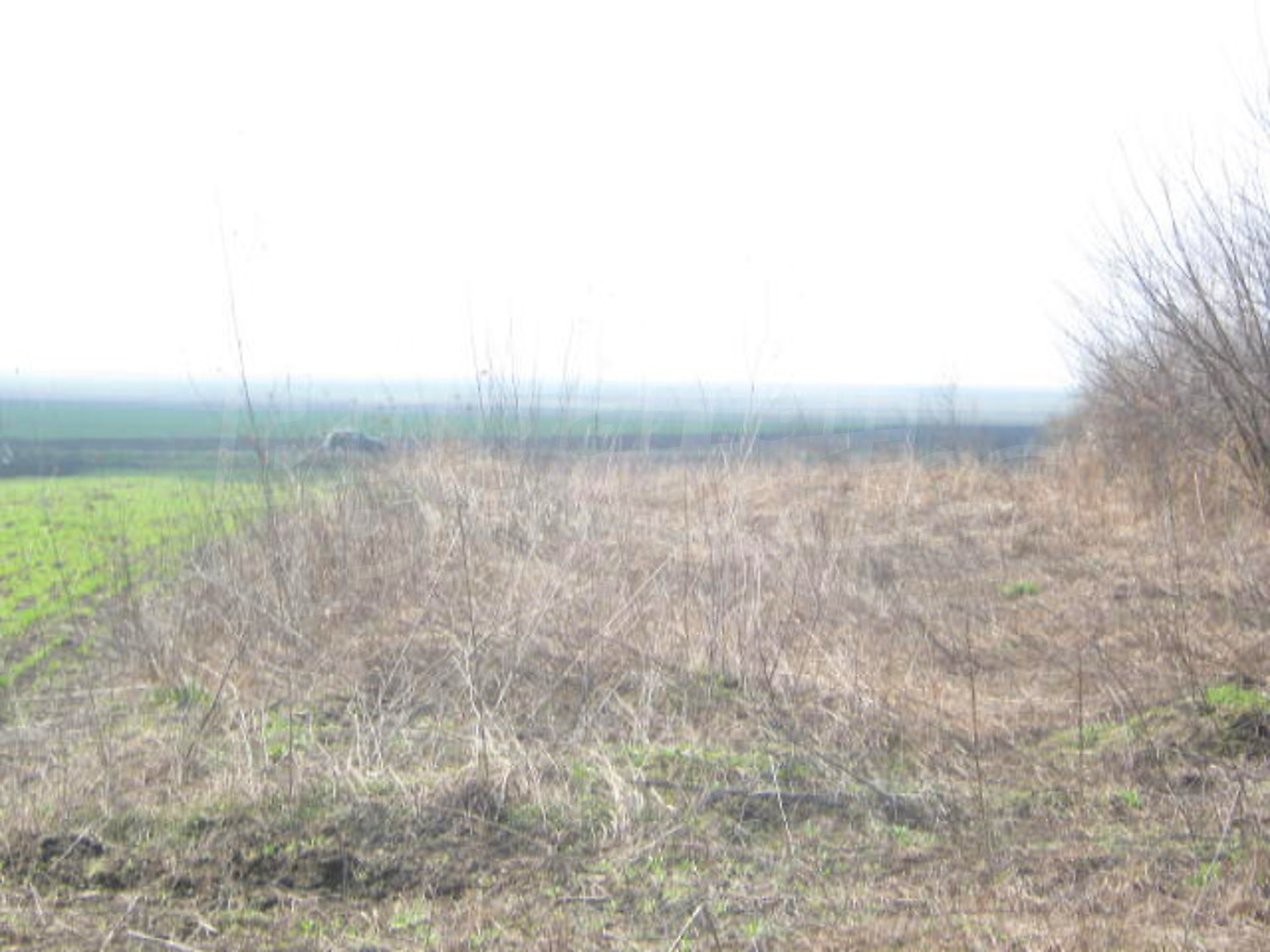 Gallery Picture 5