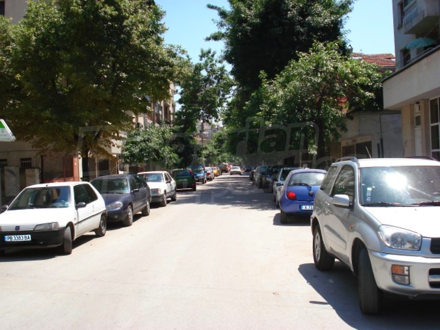 Gallery Picture 19