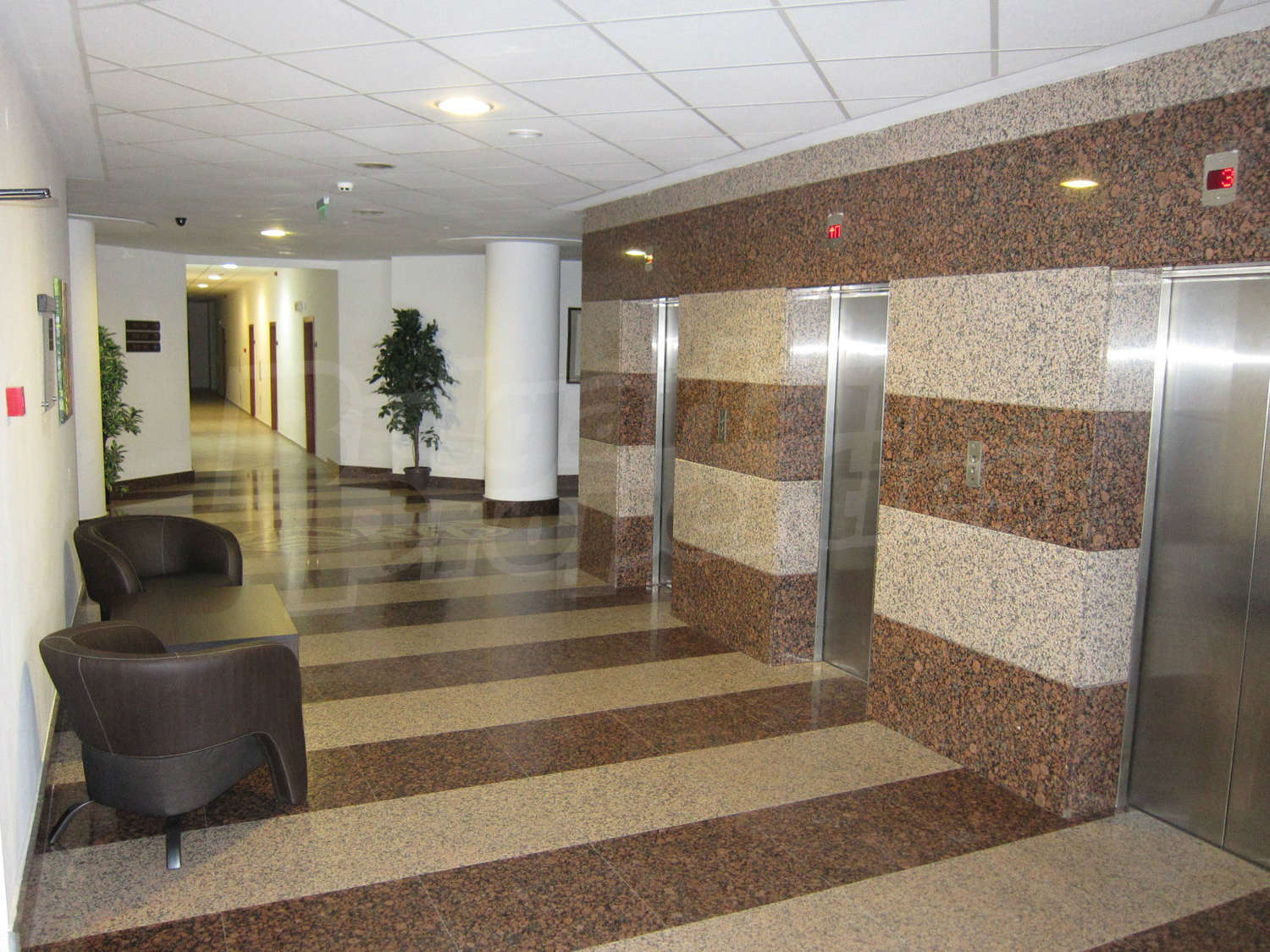 Gallery Picture 11