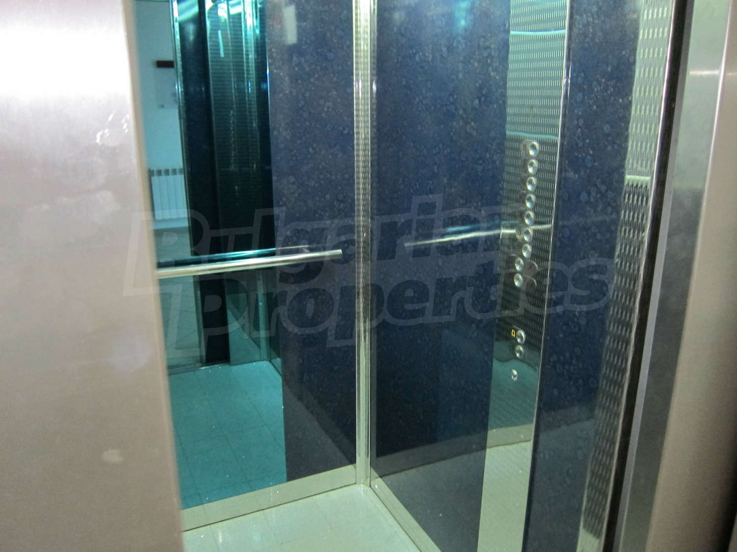 Gallery Picture 12