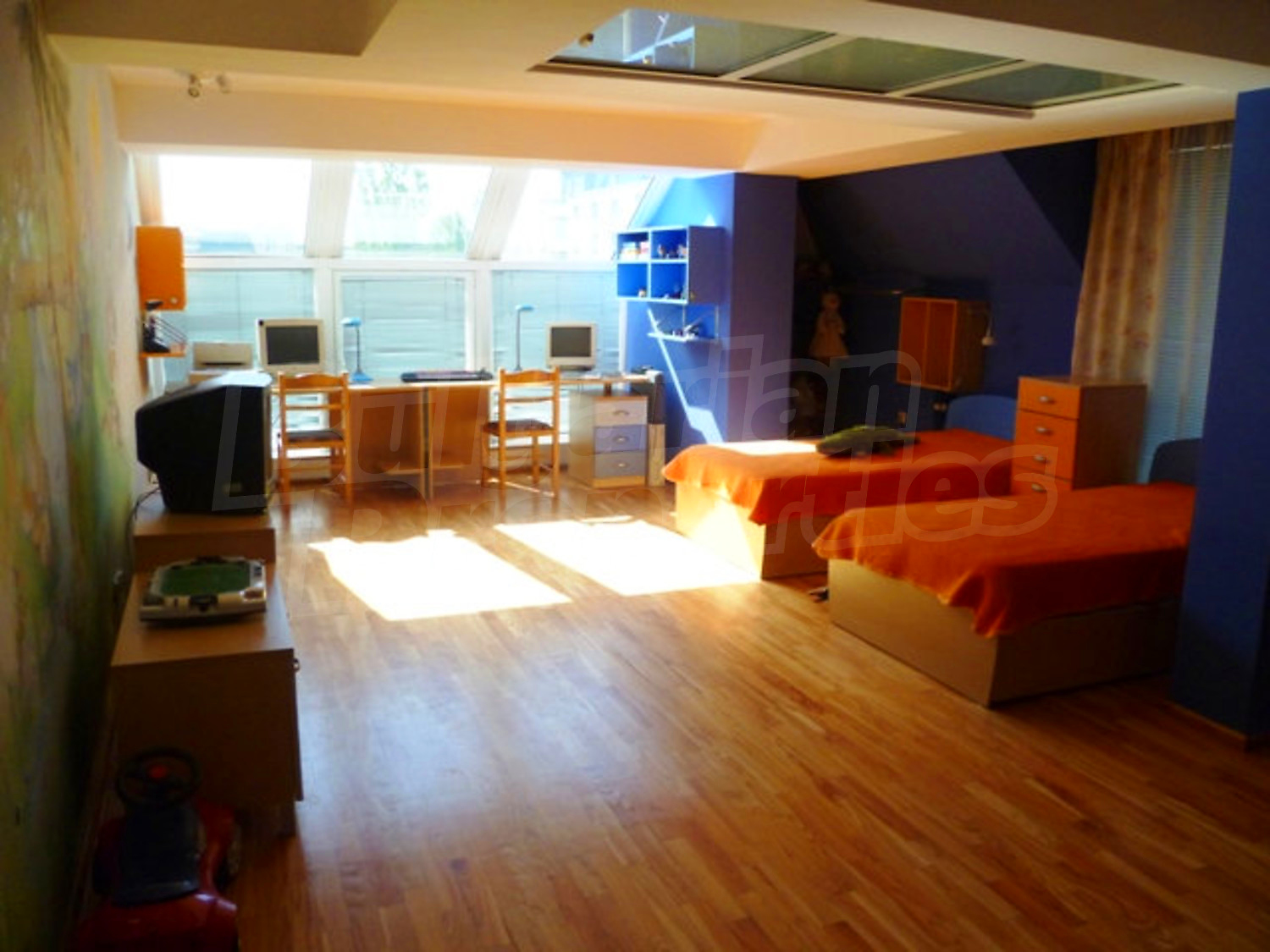 Gallery Picture 19