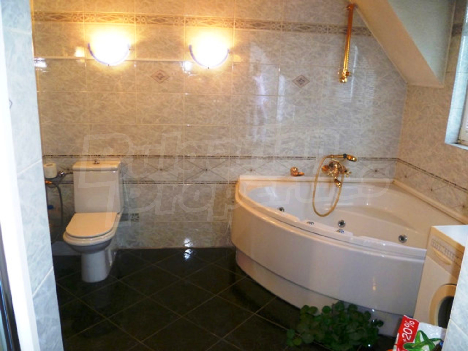 Gallery Picture 39