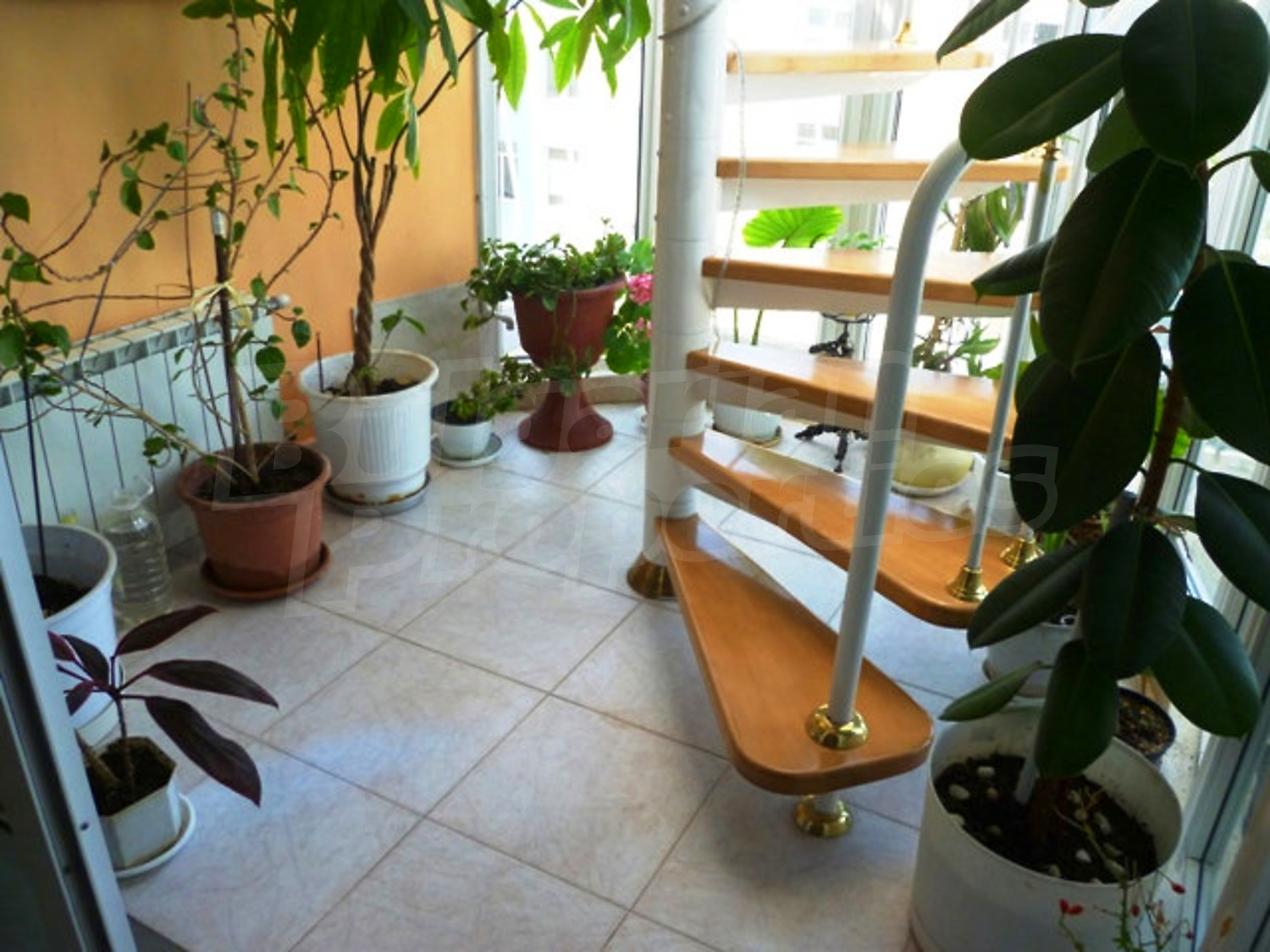Gallery Picture 46