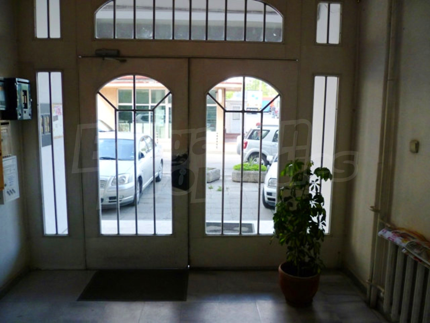 Gallery Picture 56