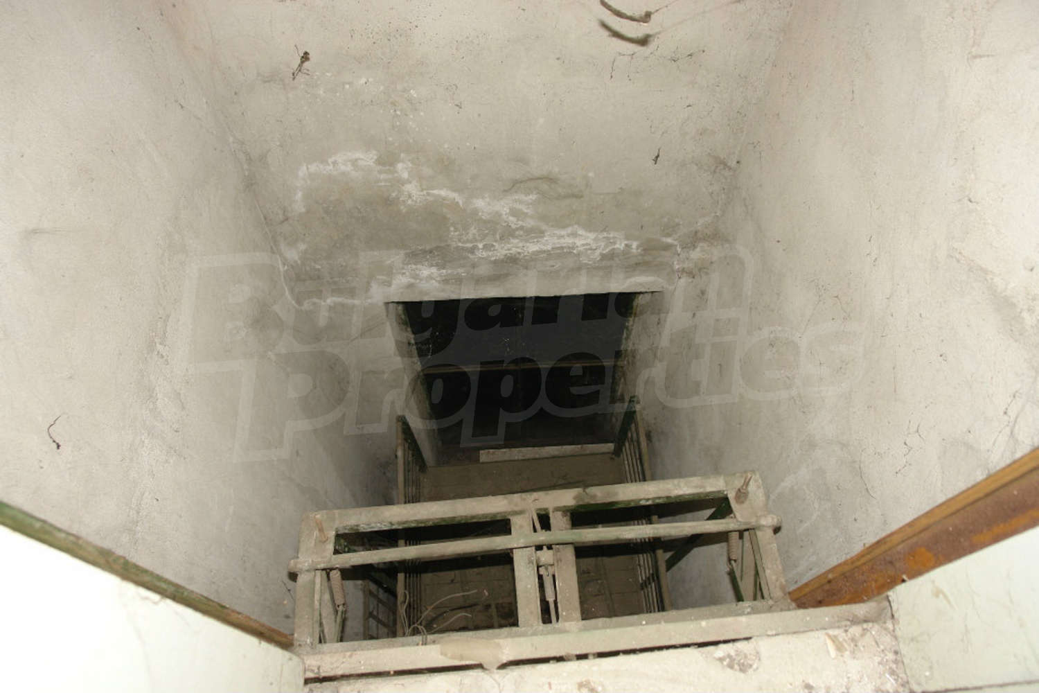 Gallery Picture 14