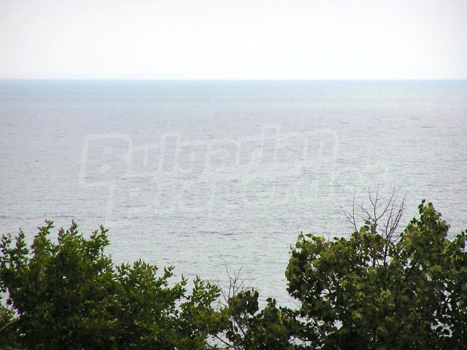 Gallery Picture 9
