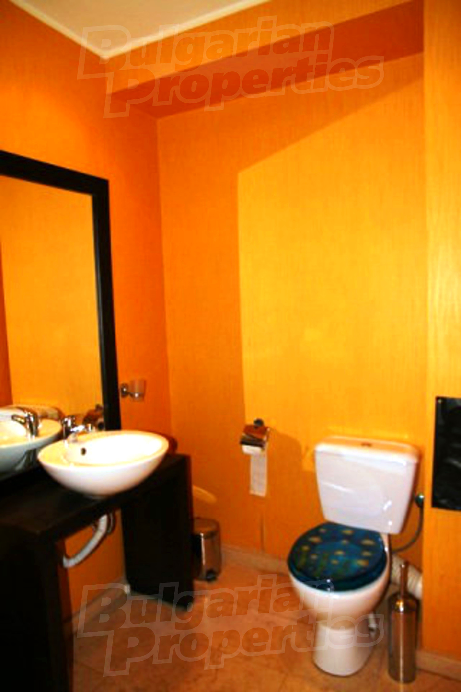 Gallery Picture 15