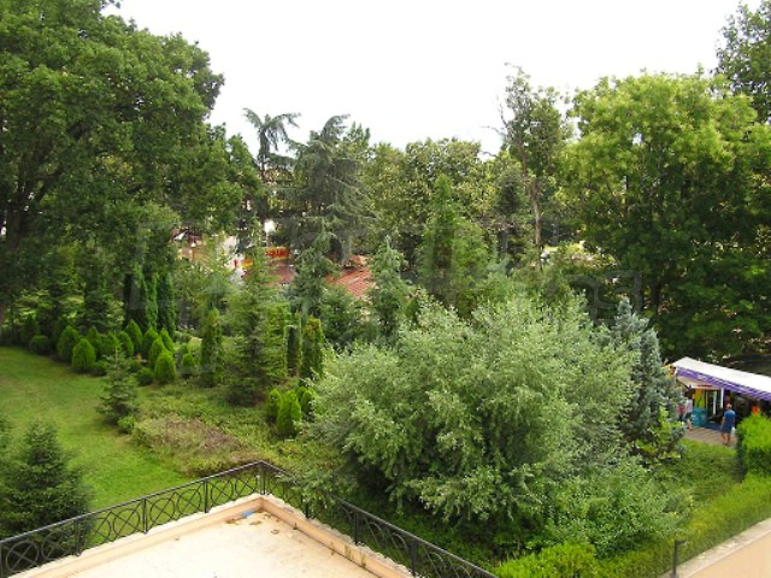 Gallery Picture 6