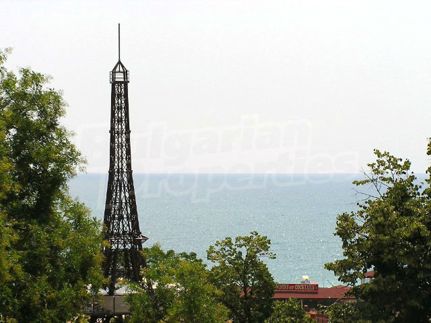 Gallery Picture 7