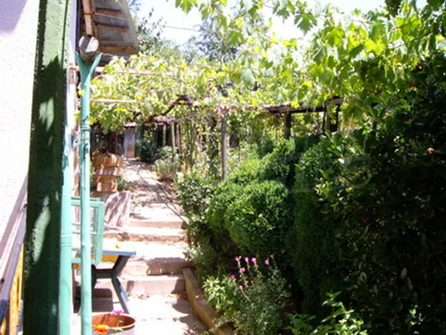 Gallery Picture 3