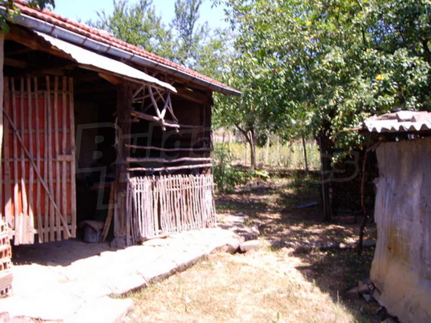 Gallery Picture 5