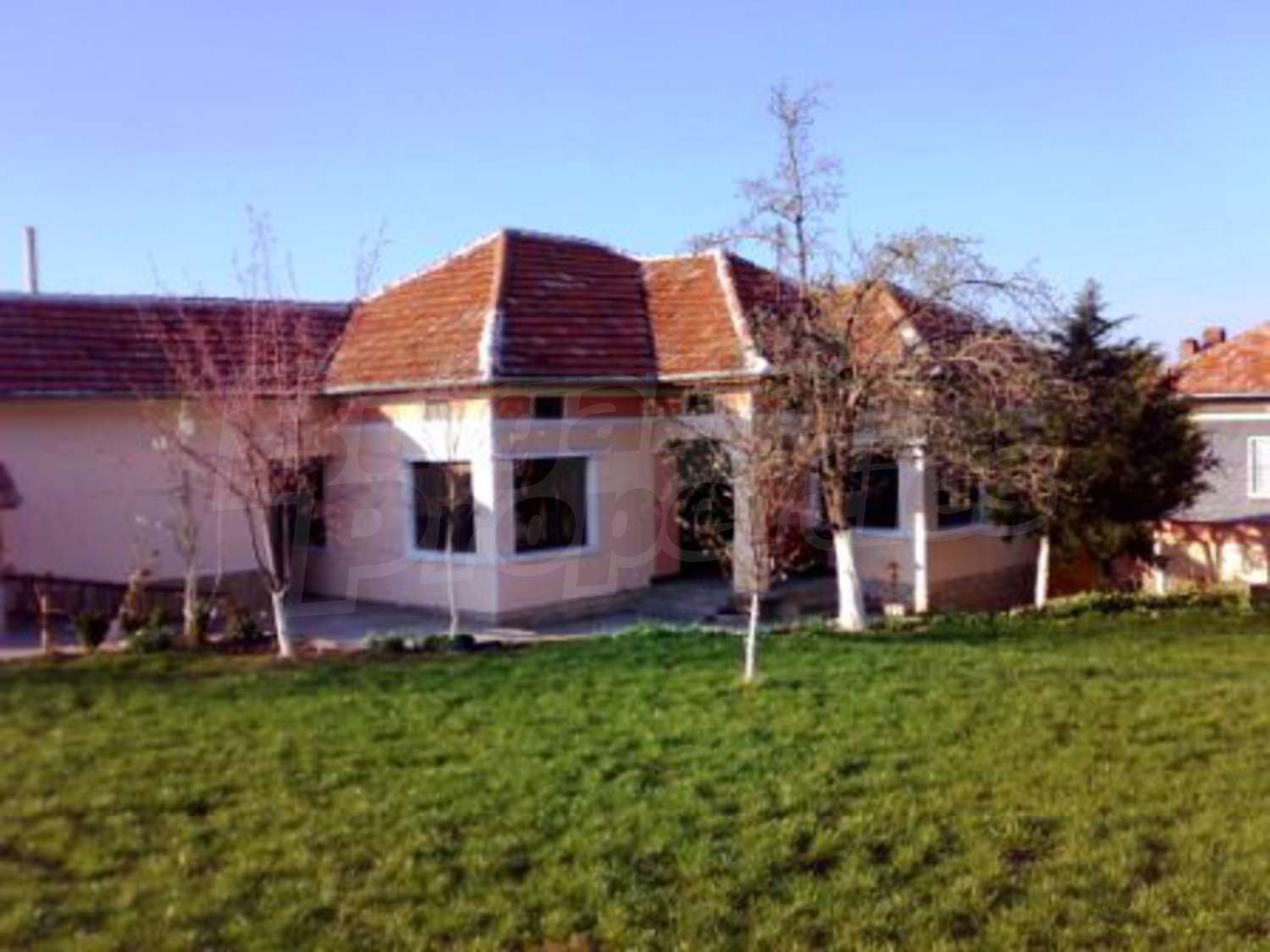 Gallery Picture 10
