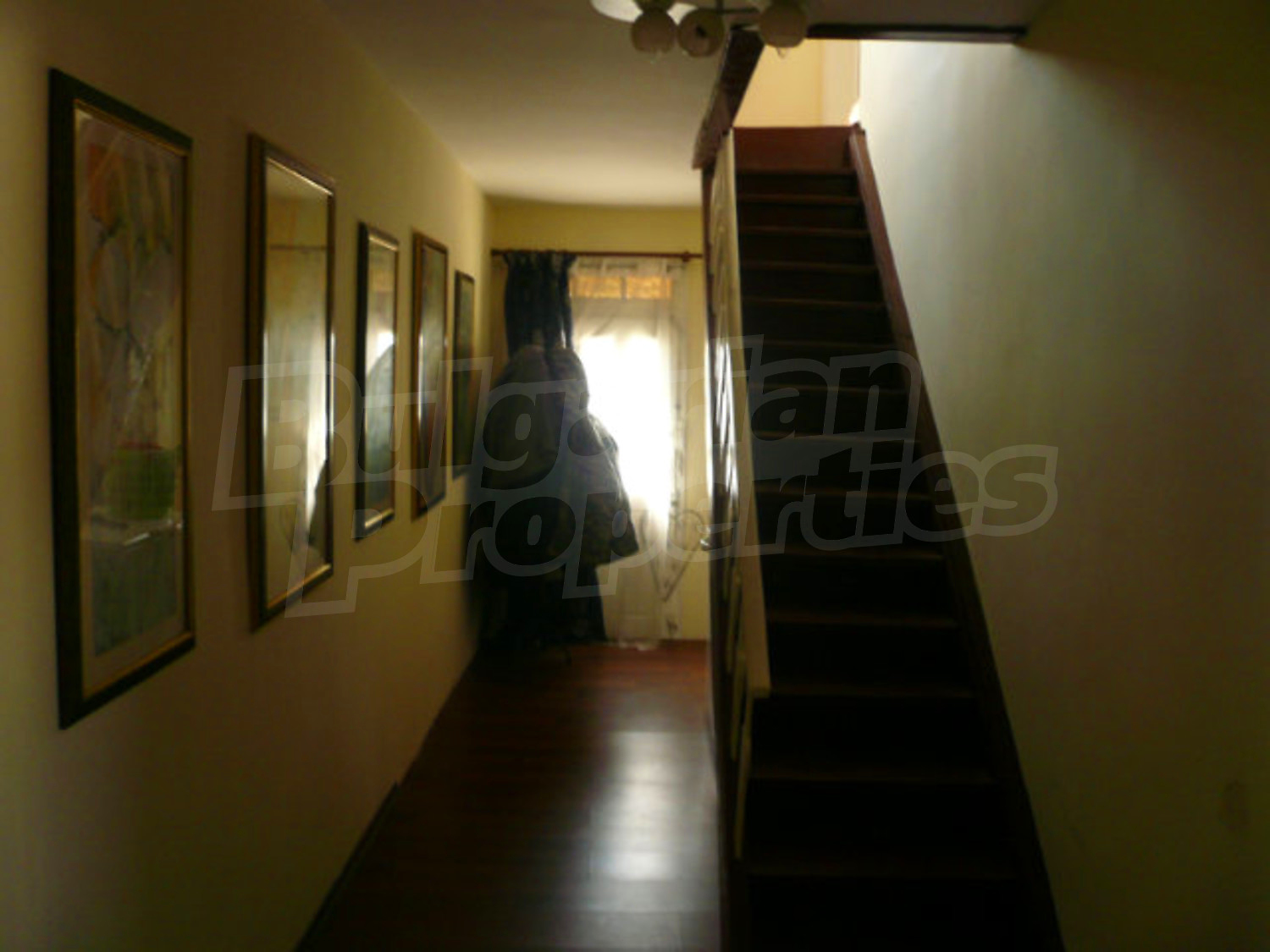 Gallery Picture 26