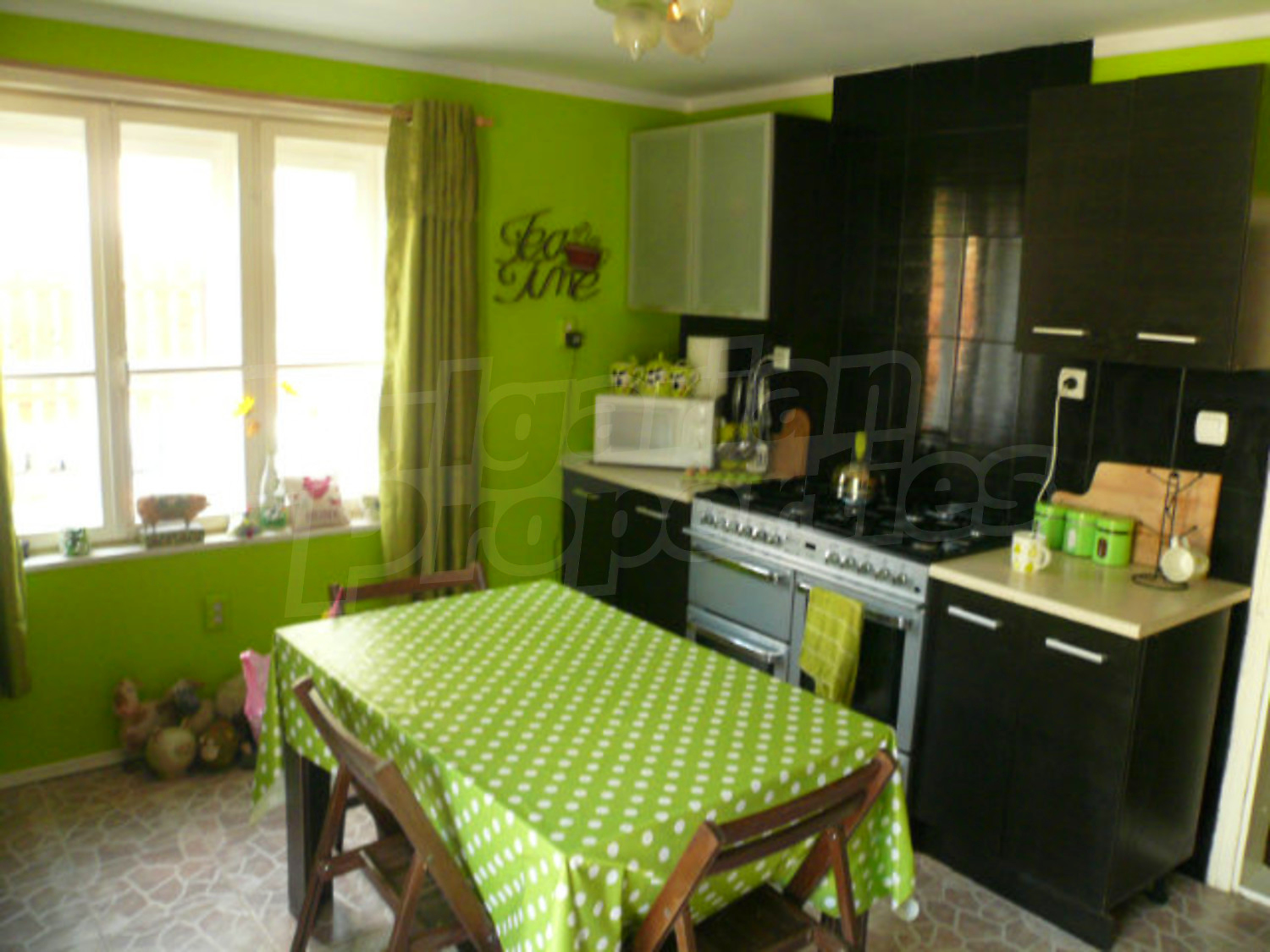 Gallery Picture 28