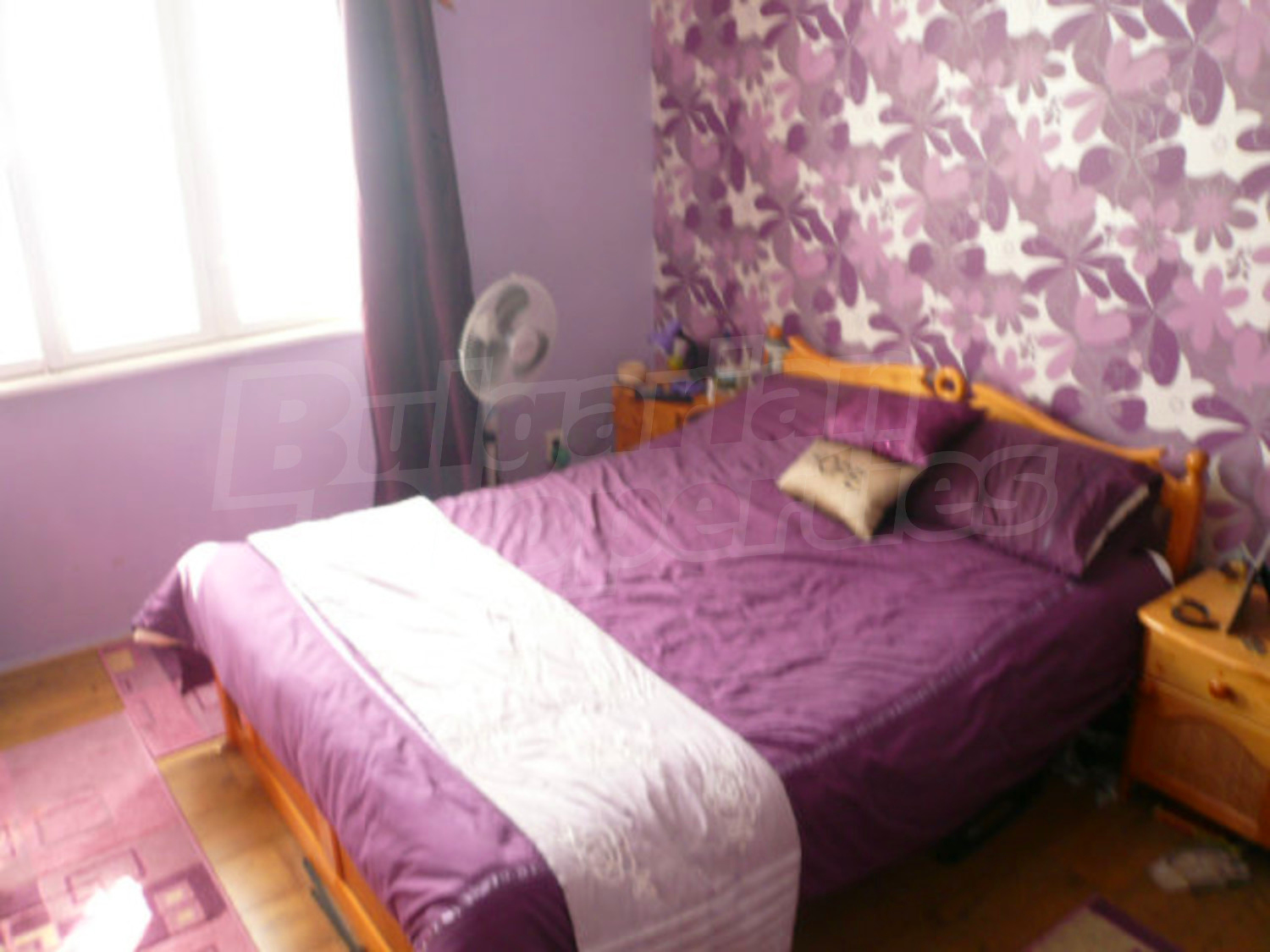 Gallery Picture 33