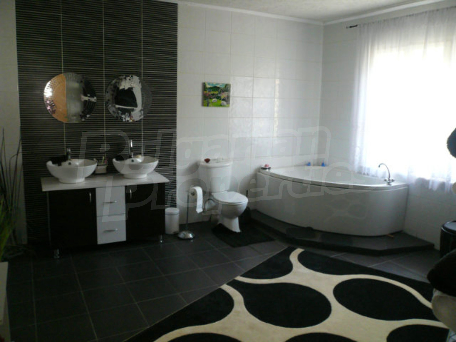 Gallery Picture 37