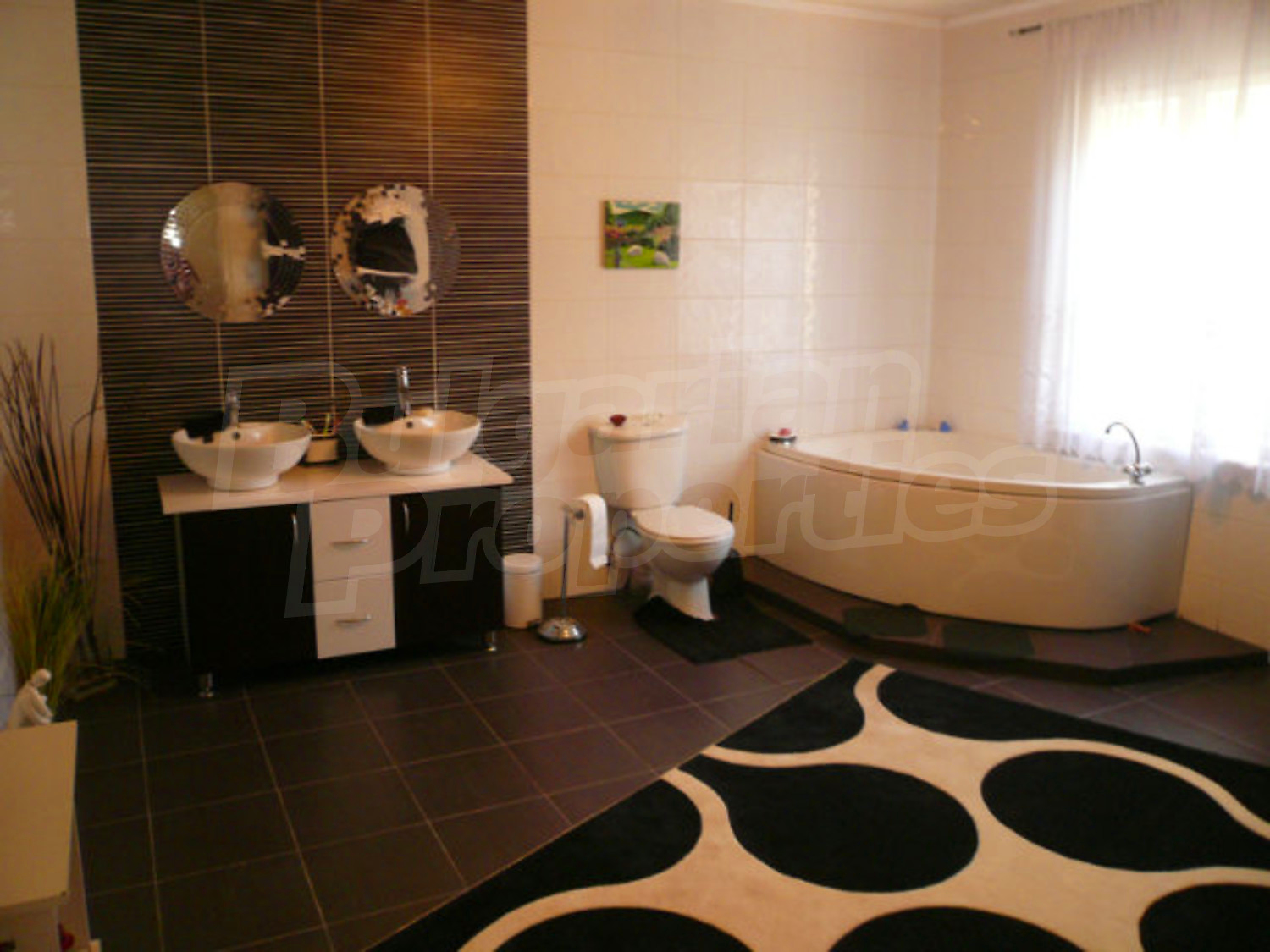 Gallery Picture 38