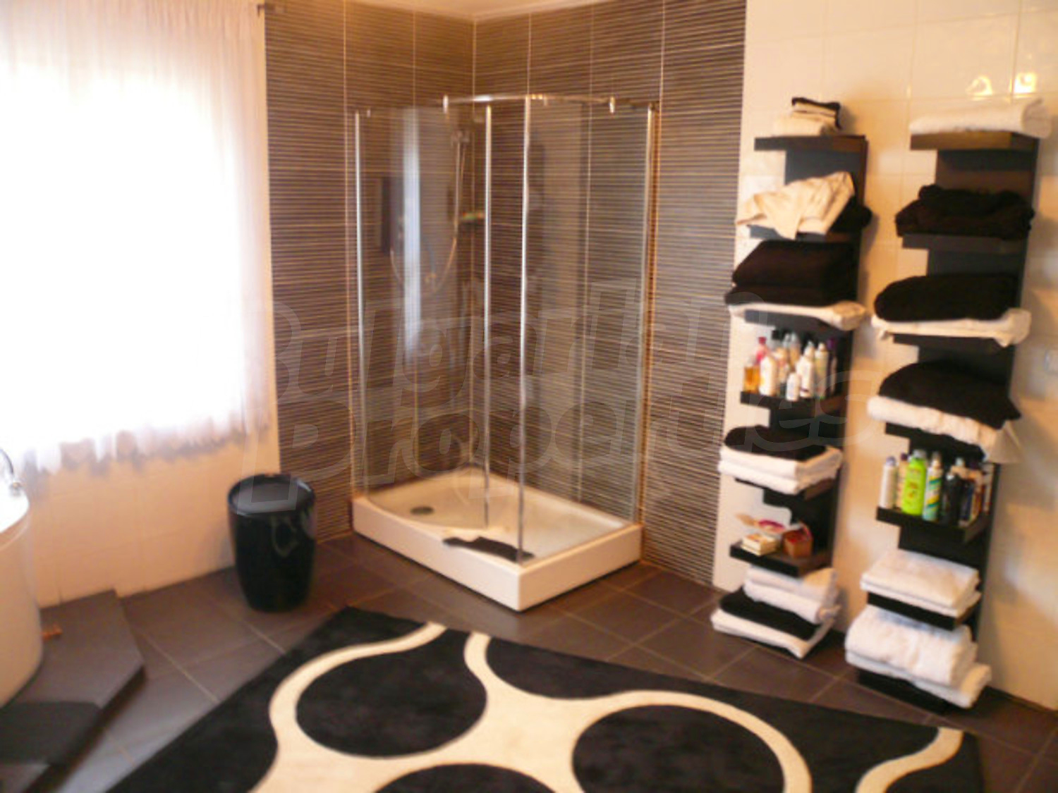 Gallery Picture 39