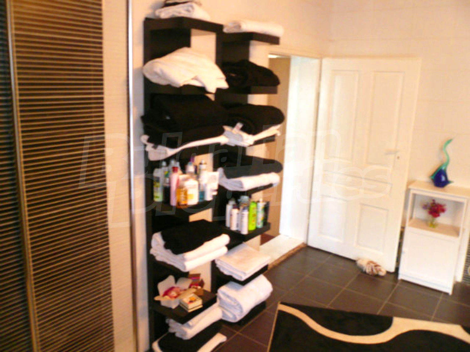 Gallery Picture 42