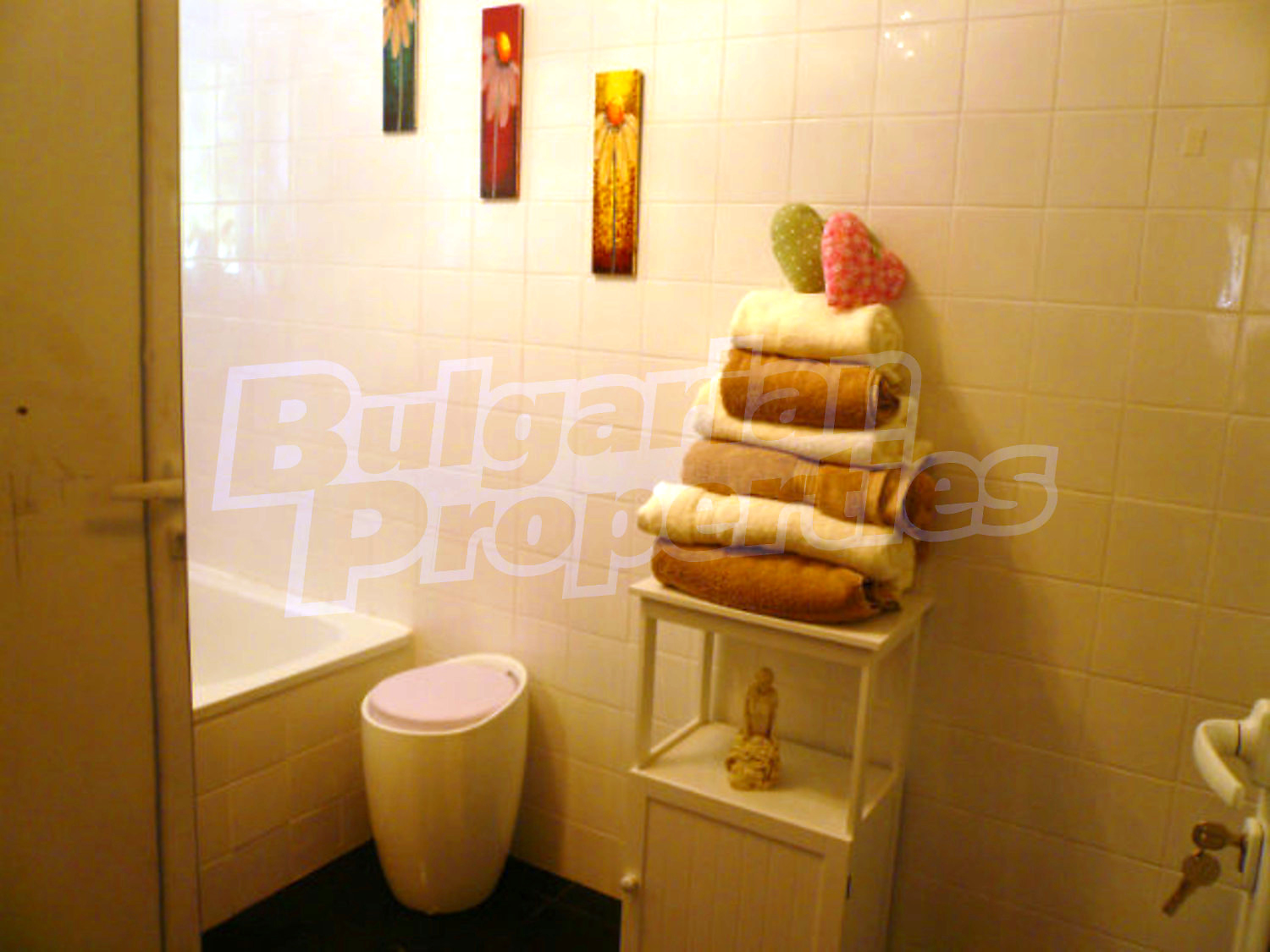 Gallery Picture 47